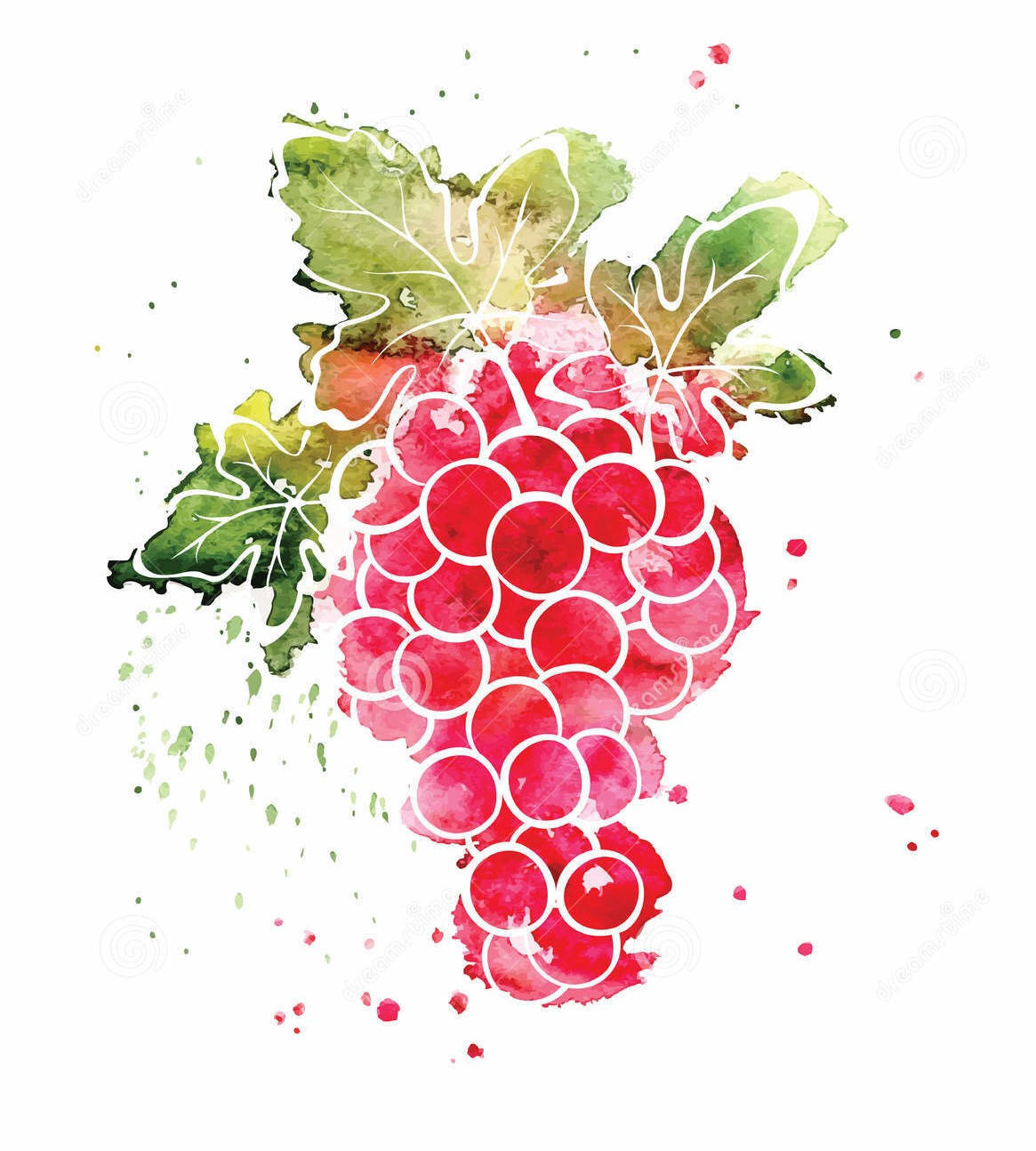 Captivating Grape Harvest Wallpaper