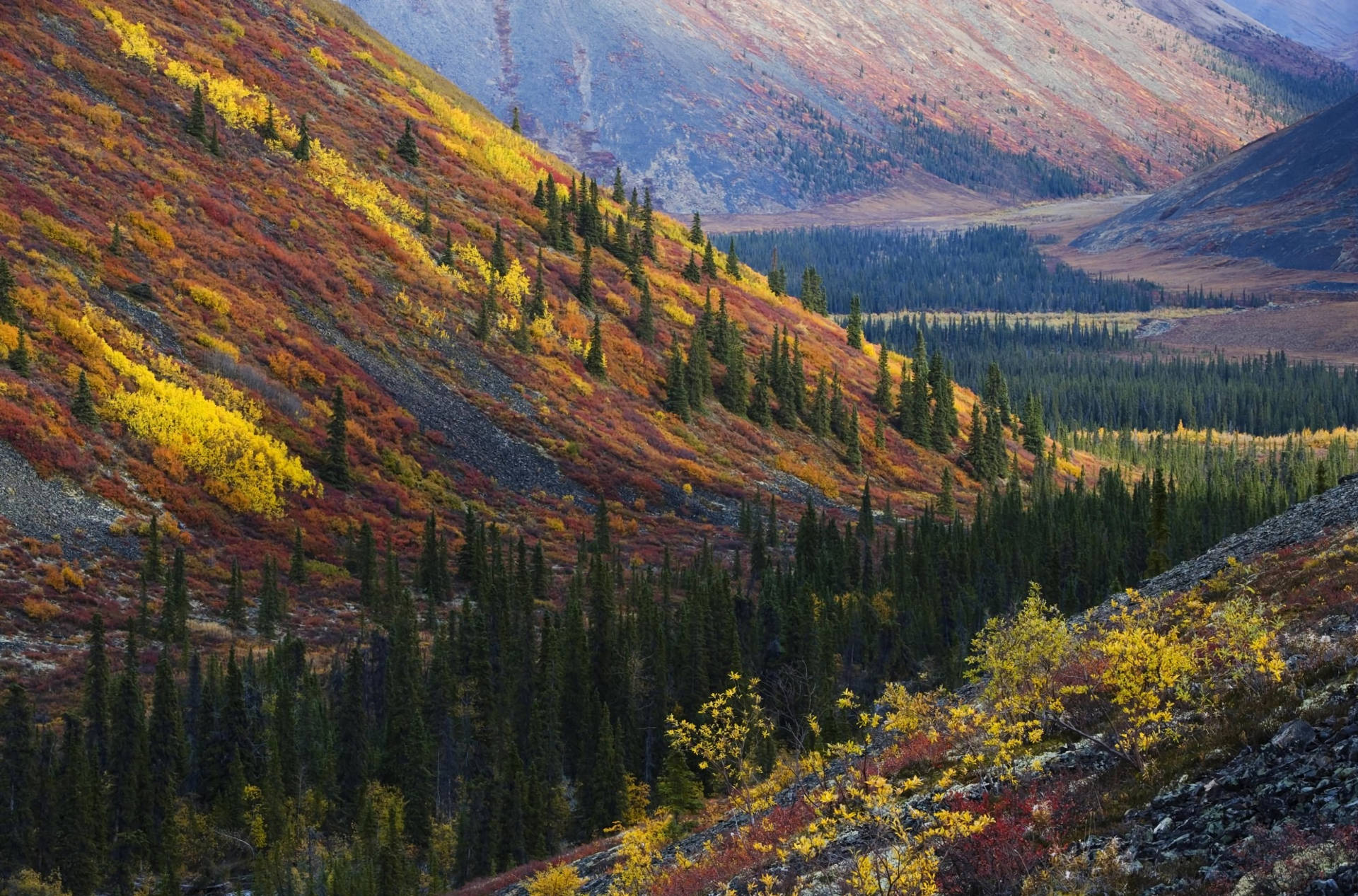 Captivating Hd Mountain Landscape Wallpaper