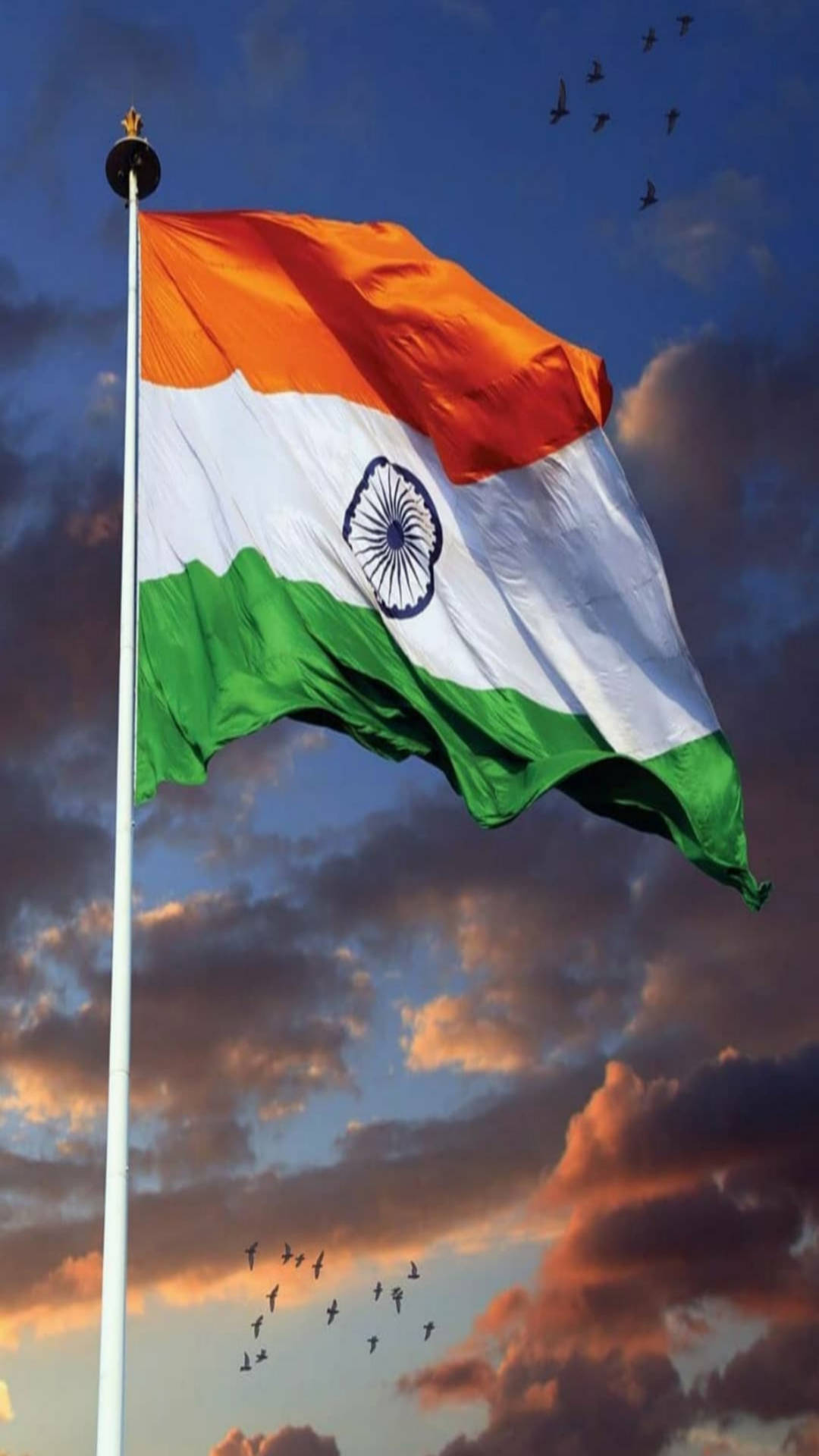 Captivating Indian Flag Mobile