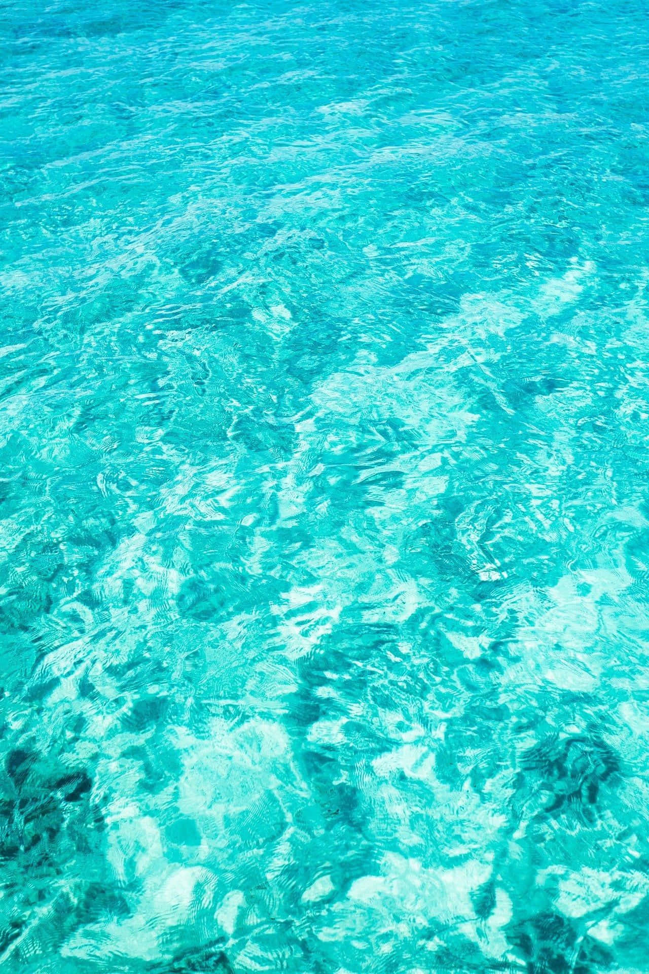 Captivating Lushness Of The Teal Blue Ocean Wallpaper