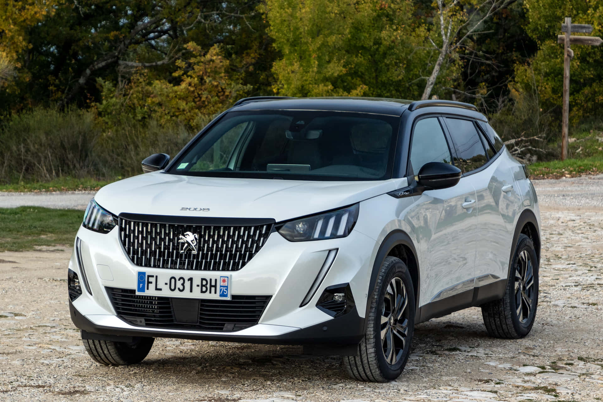 Captivating Peugeot 2008 In Action Wallpaper