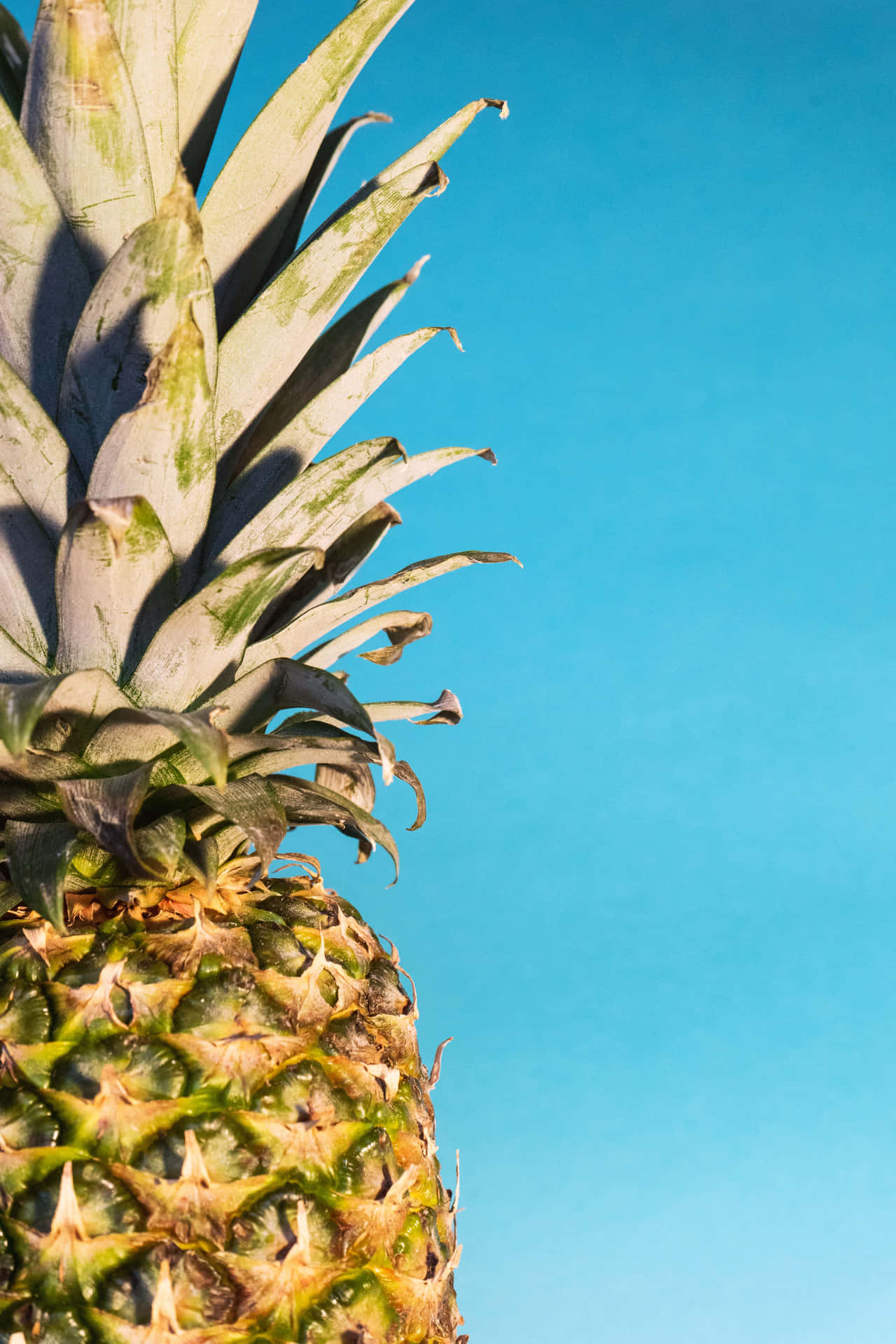 Captivating Pineapple Still Life
