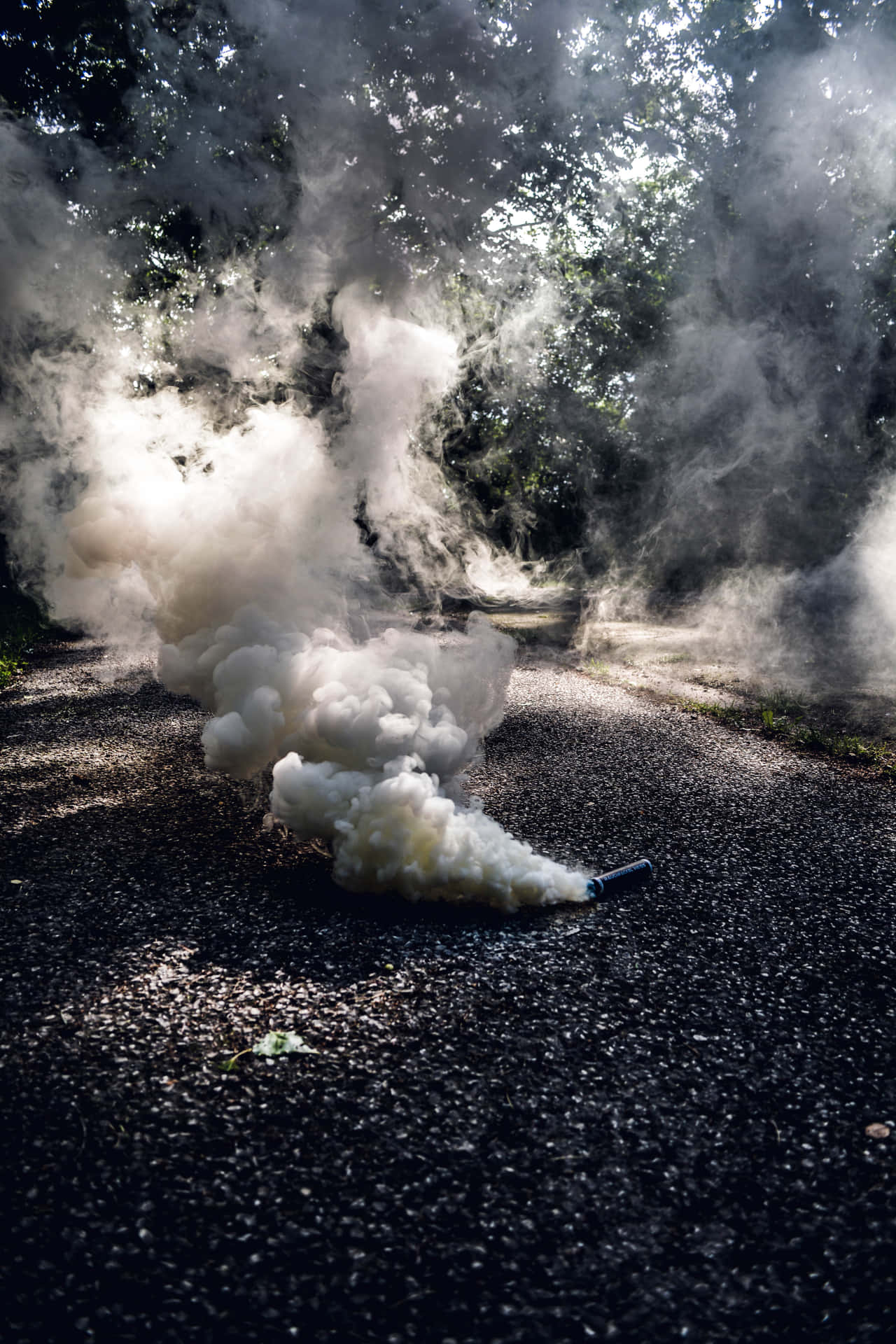 Captivating Smoke Dynamics In Monochrome