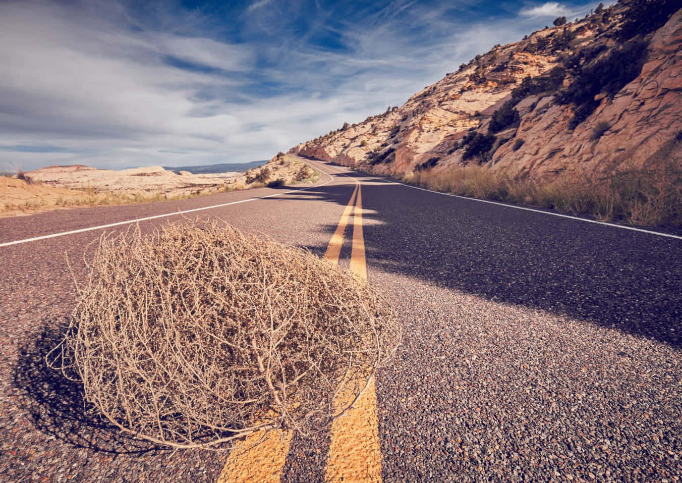 Download Captivating Tumbleweed In A Barren Sameland Wallpaper ...