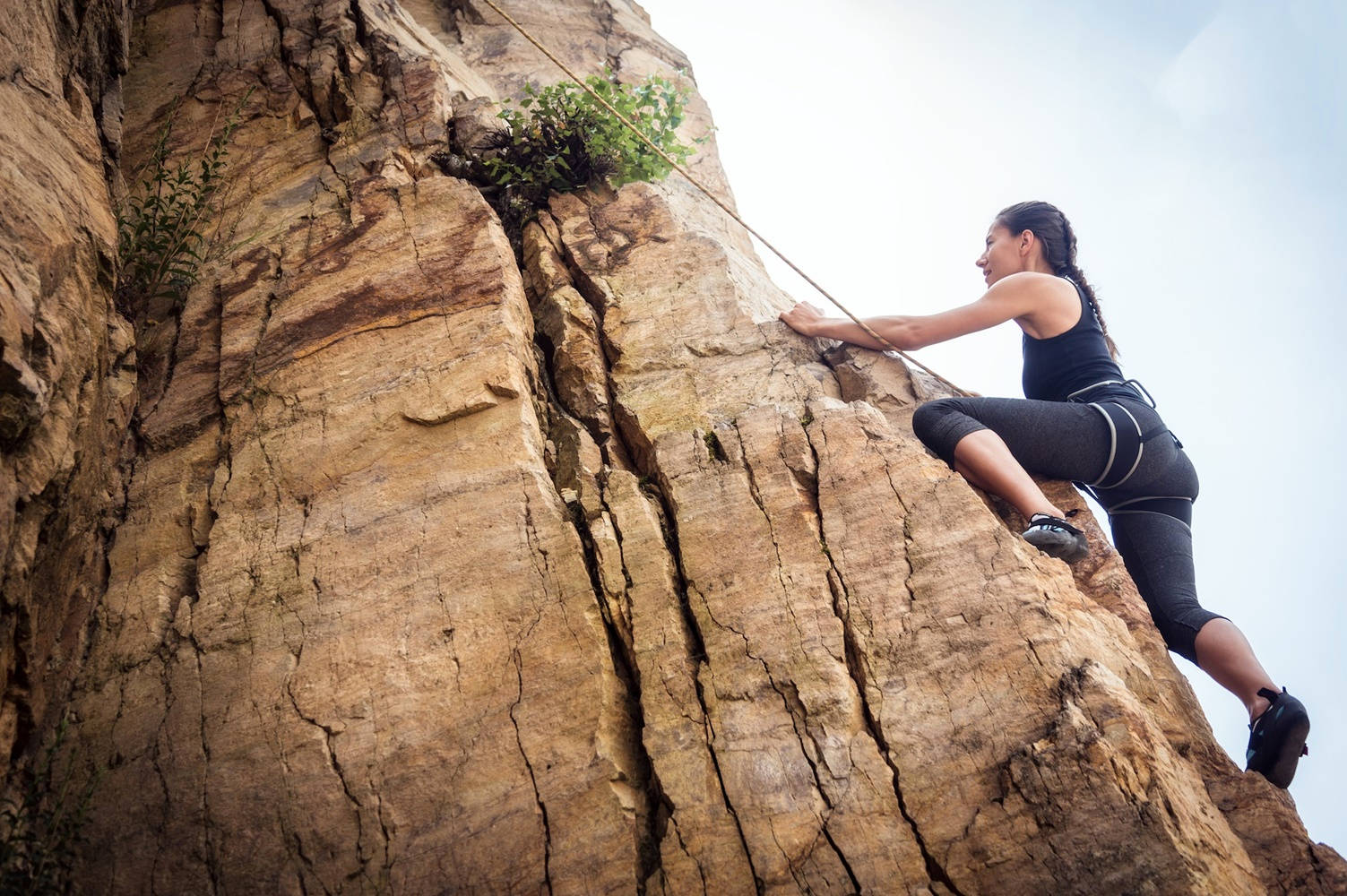 Captivating Vertical Crawl Sport Climbing Wallpaper