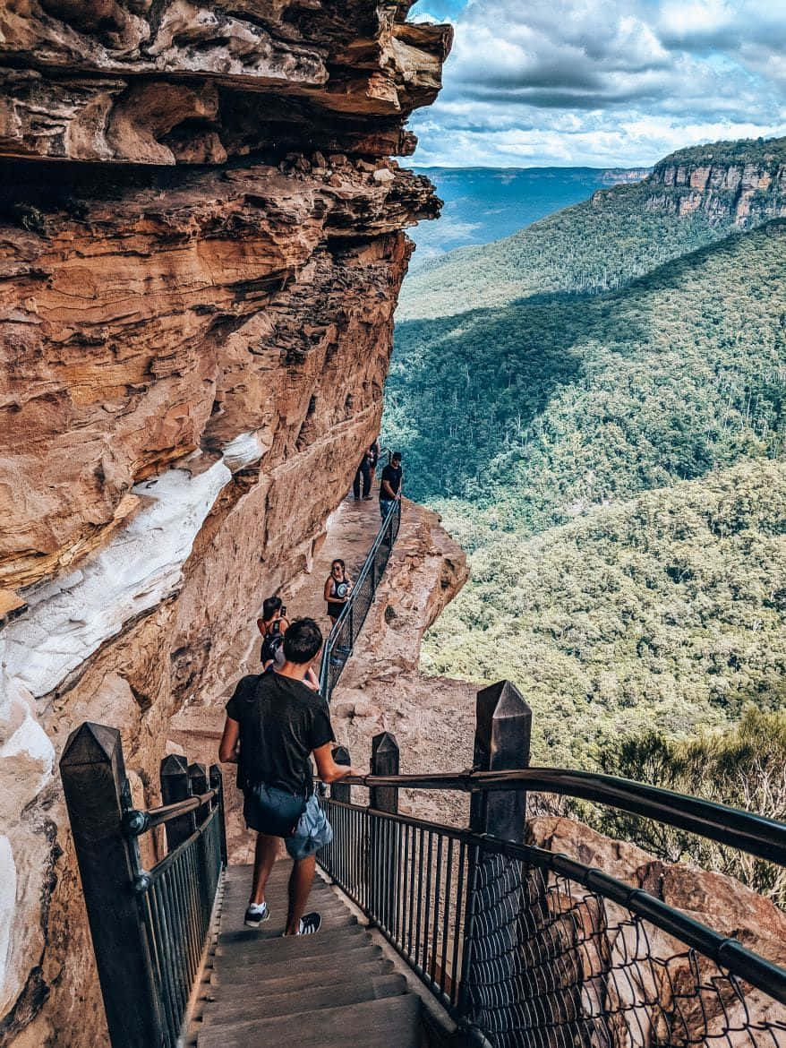 Captivating Vista Of The Blue Mountains Wallpaper