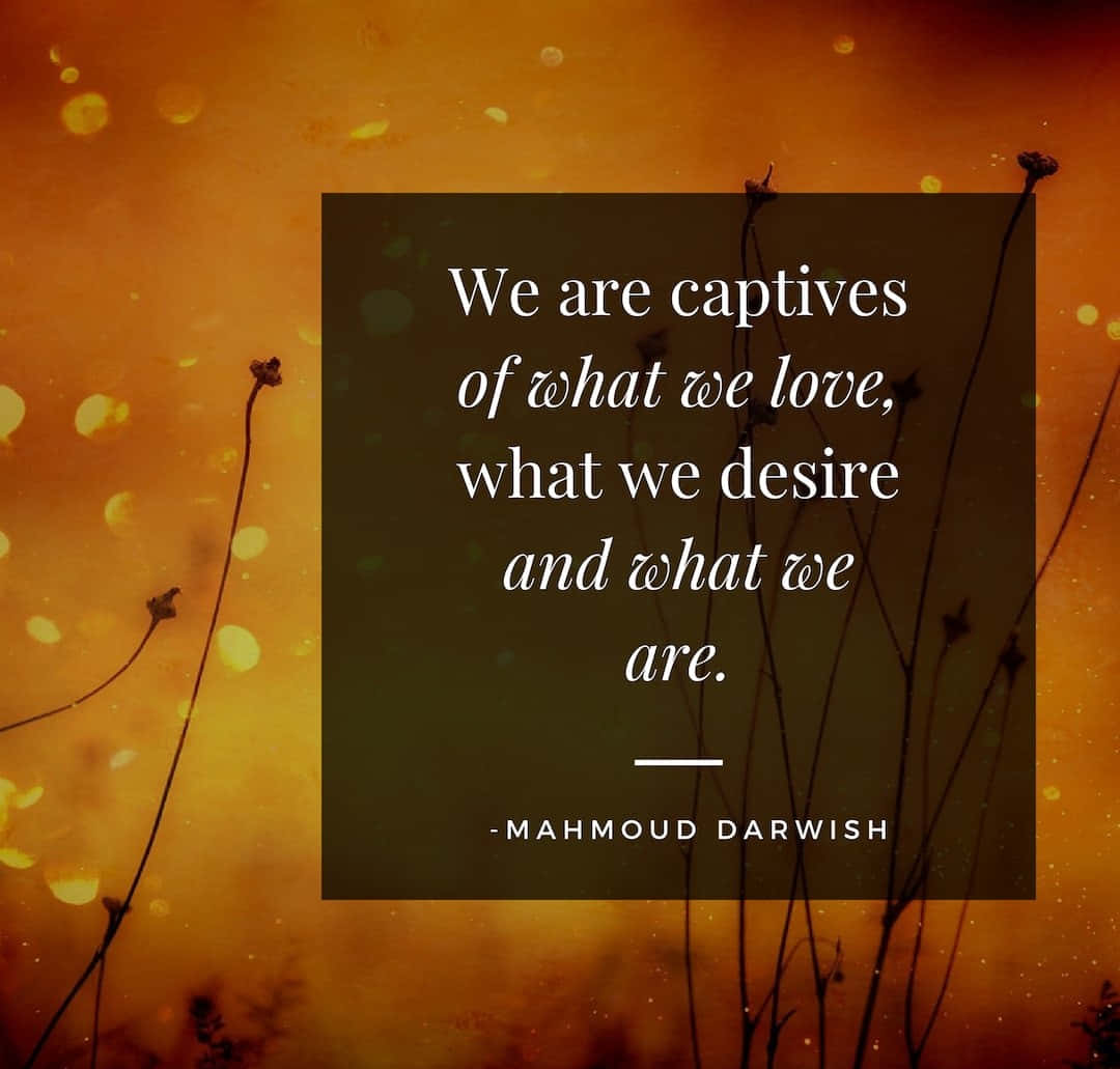 Captivesof Love Poetry Quoteby Mahmoud Darwish Wallpaper