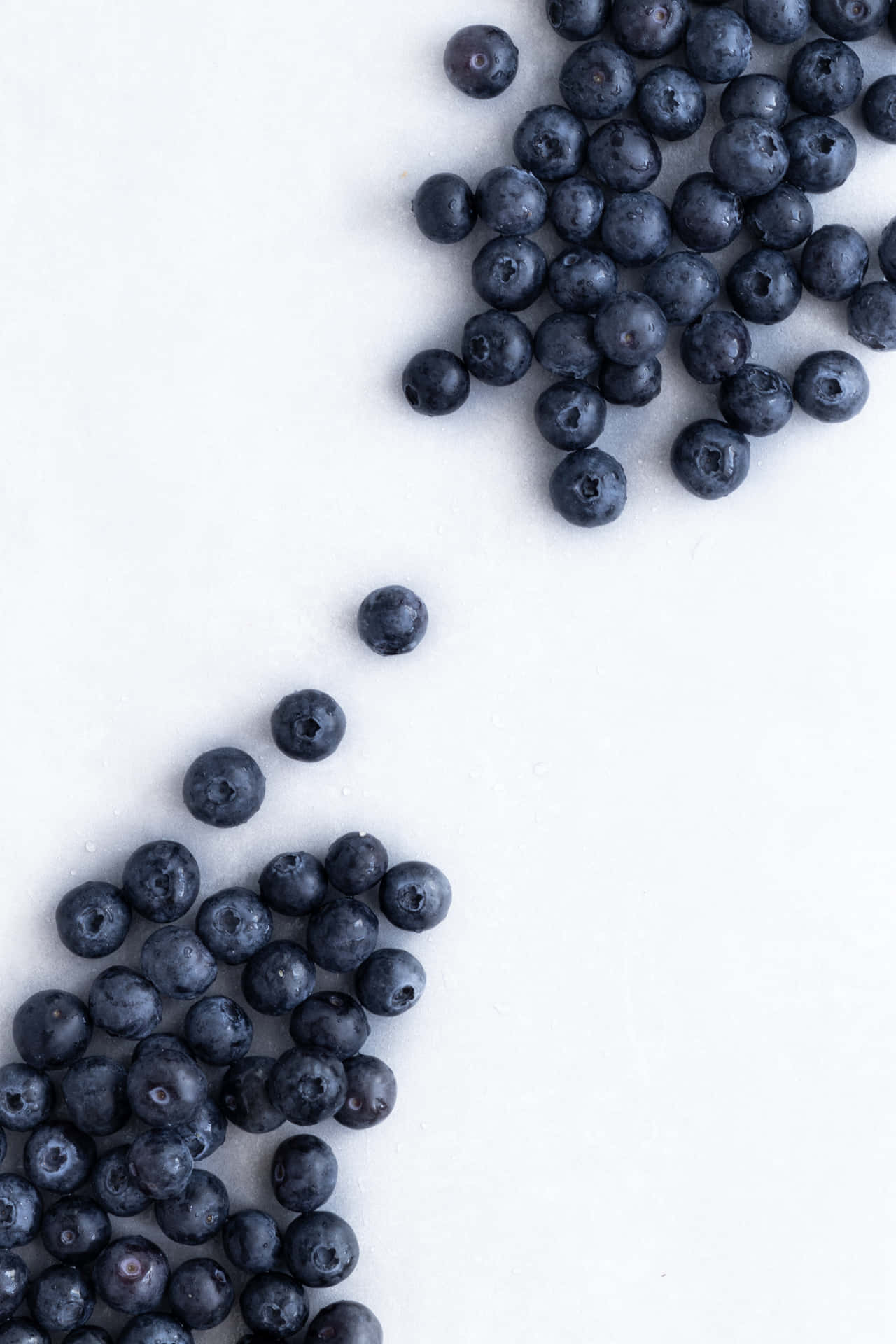Capturing The Essence Of Blueberries