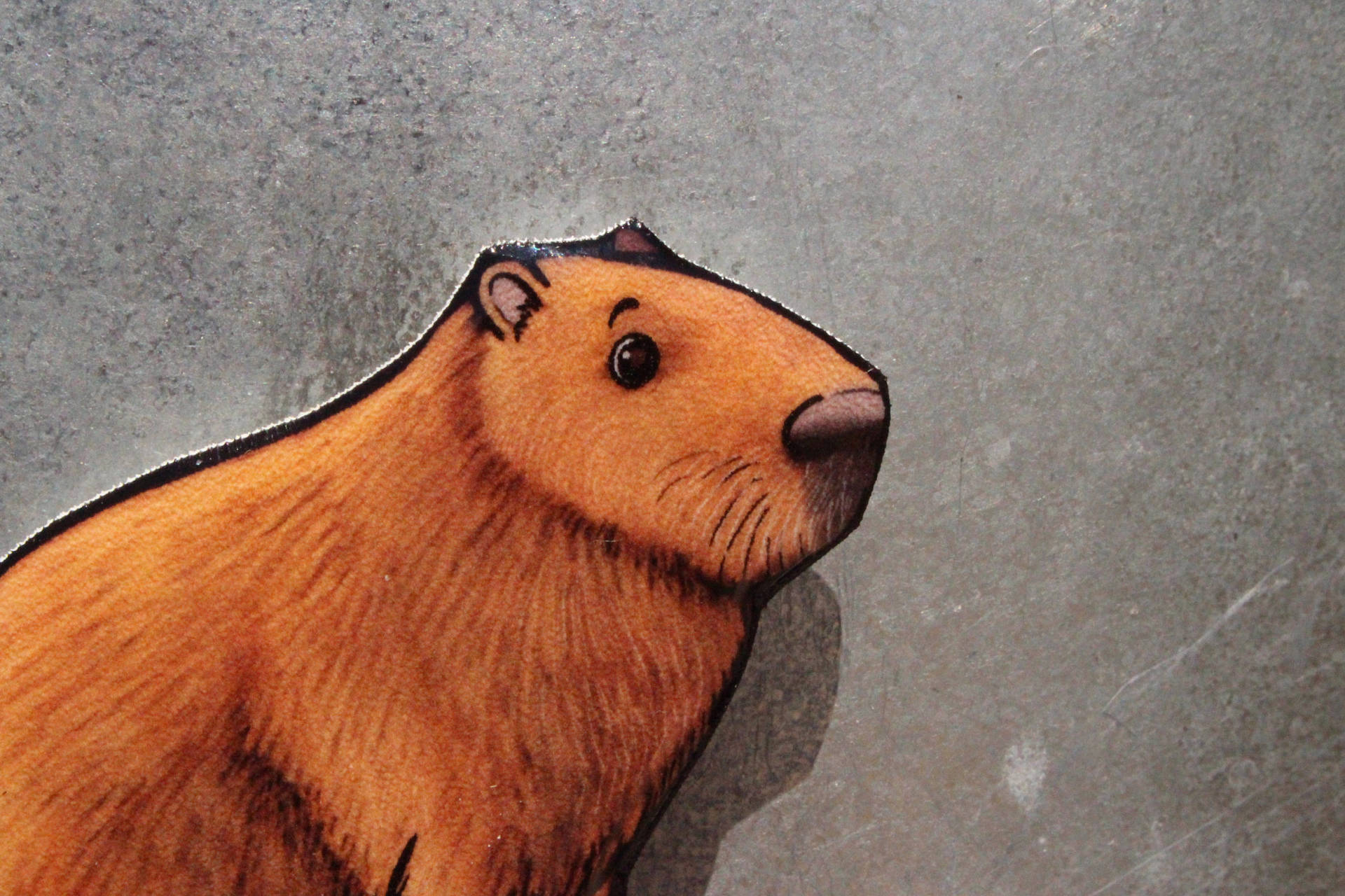 Capybara Cartoon Magnet Wallpaper