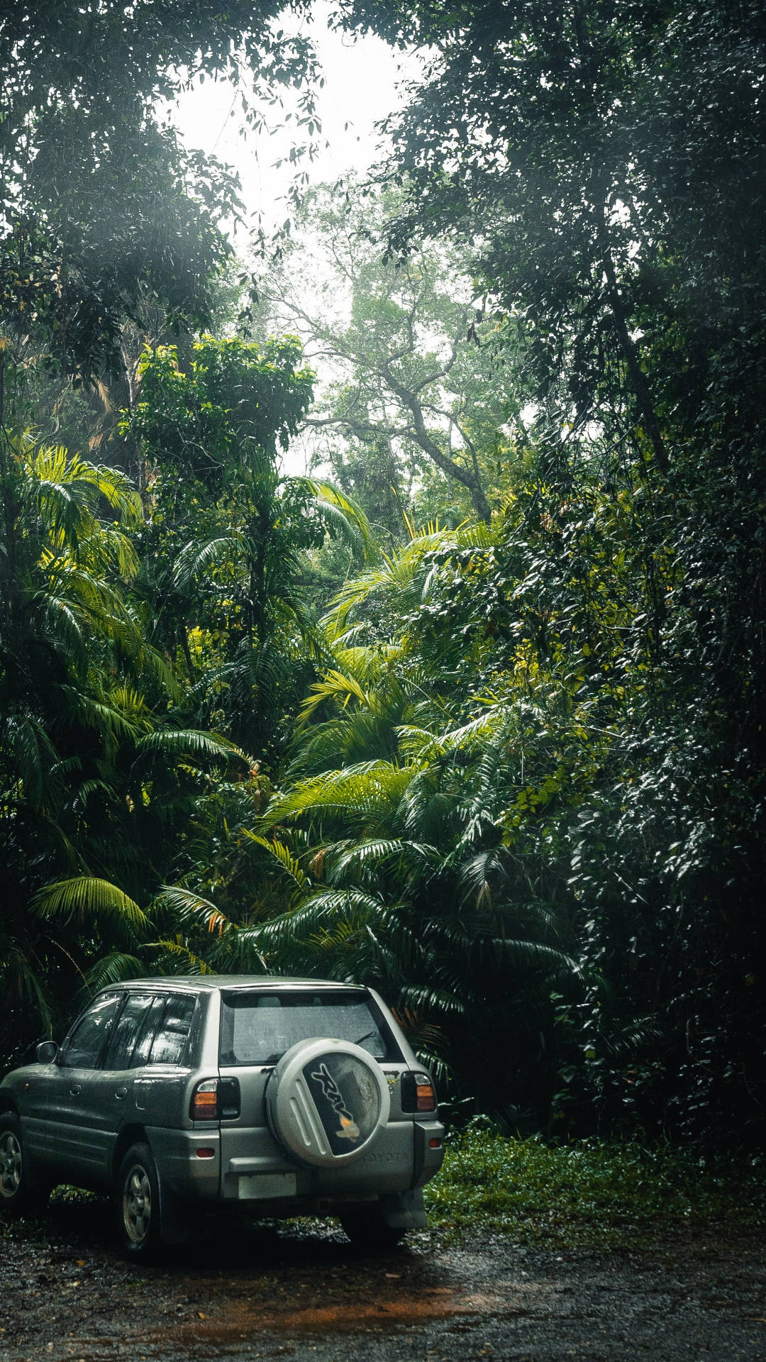 Car In The Jungle Iphone Wallpaper