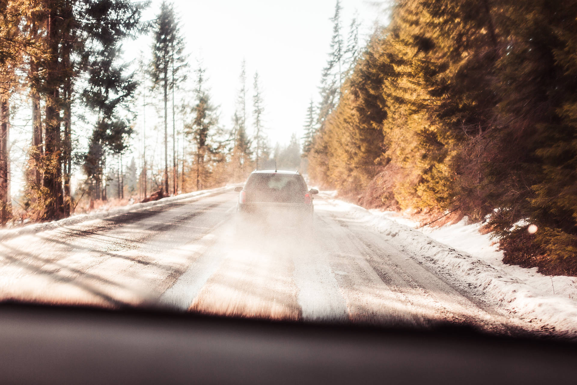 Car Leading To Nordic Forest Wallpaper