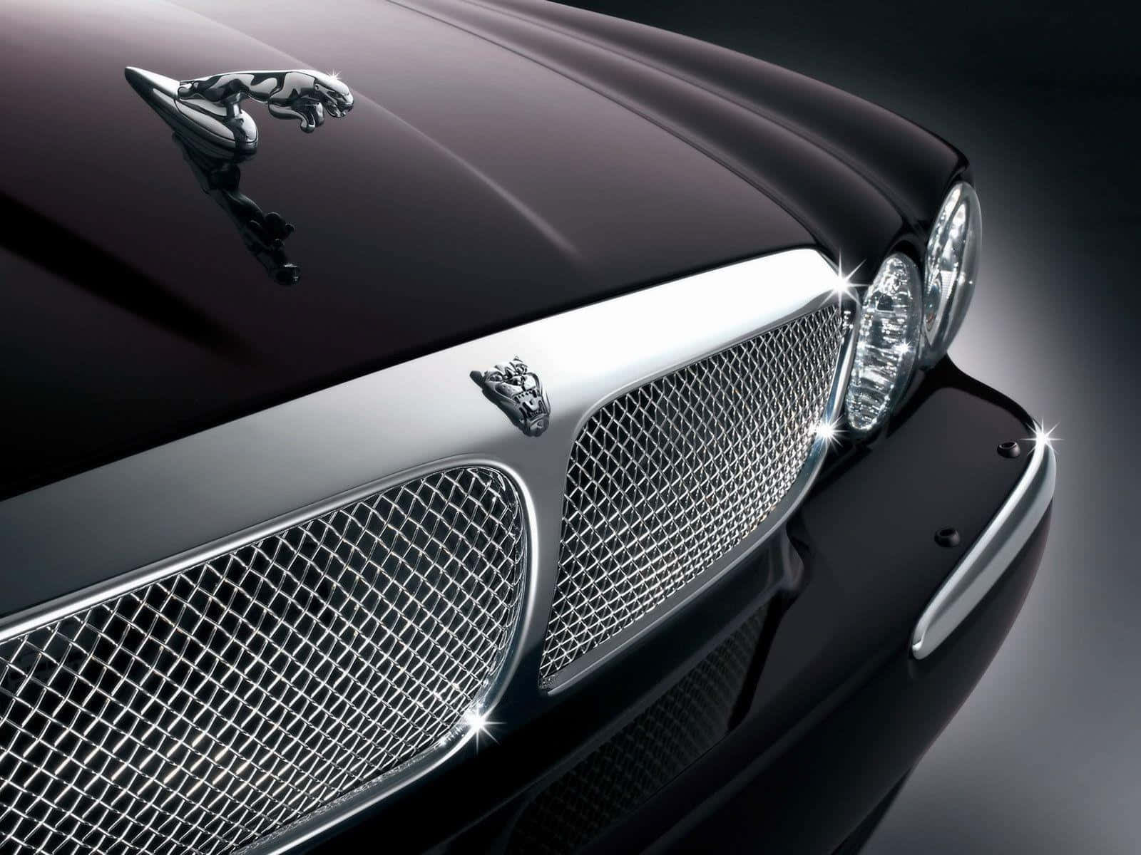 Luxury car brand logos against a black background Wallpaper