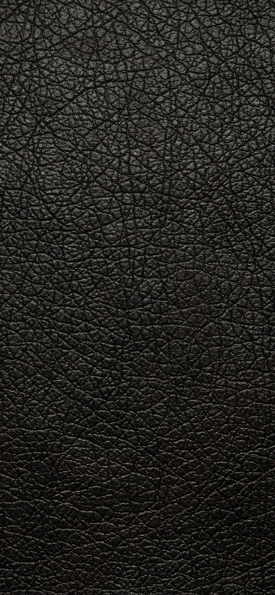 Sædekappe i sort læder iPhone Wallpaper