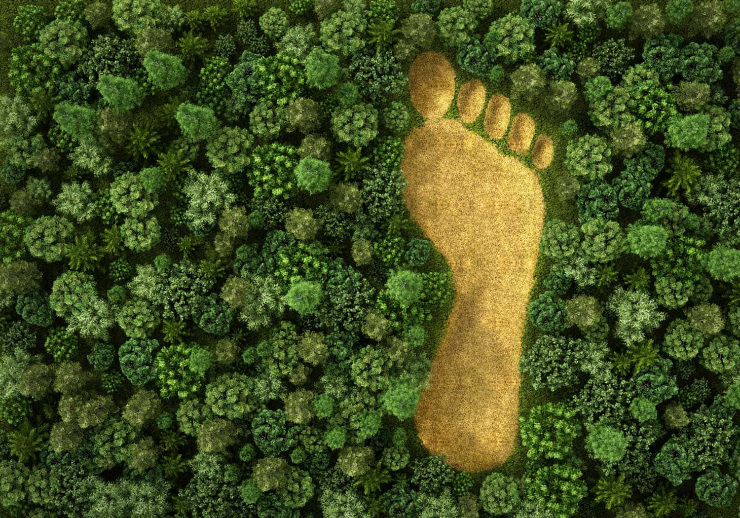 Worldwide Carbon Footprint Wallpaper
