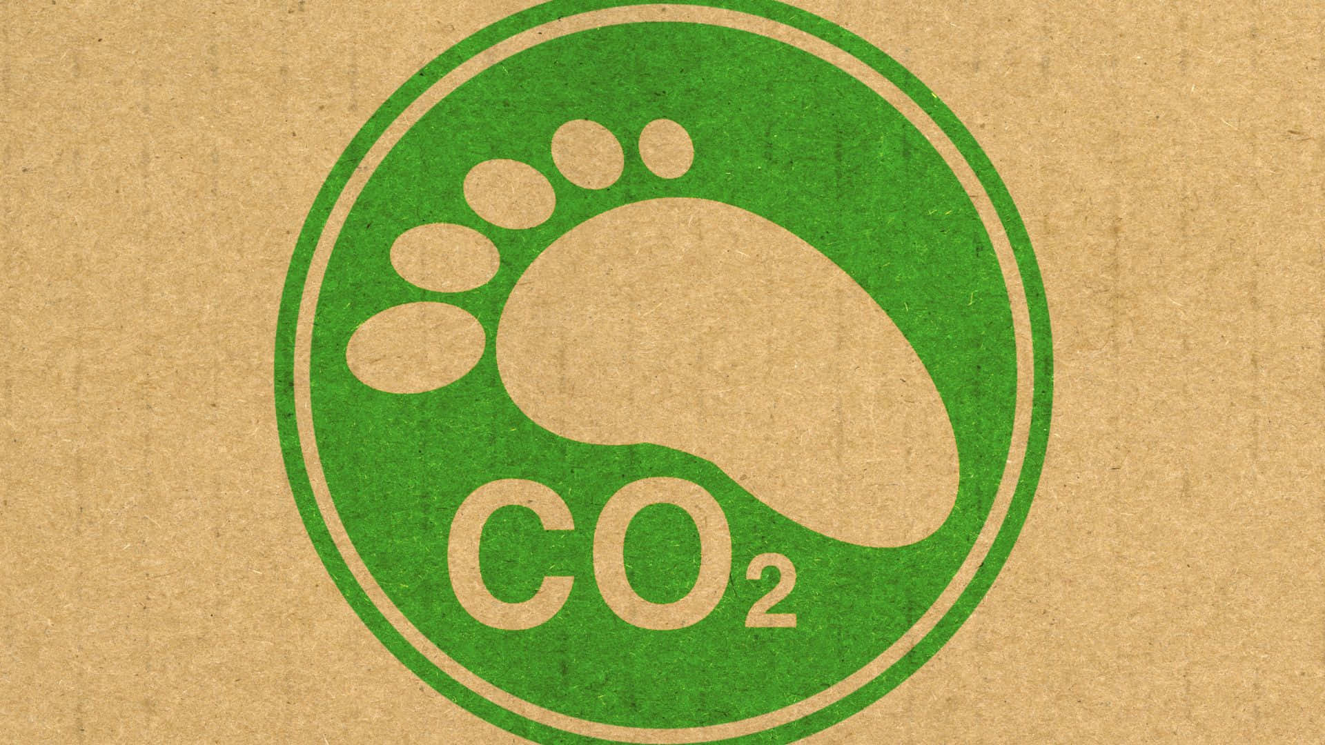 Reduce Carbon Footprint for a Sustainable Future Wallpaper