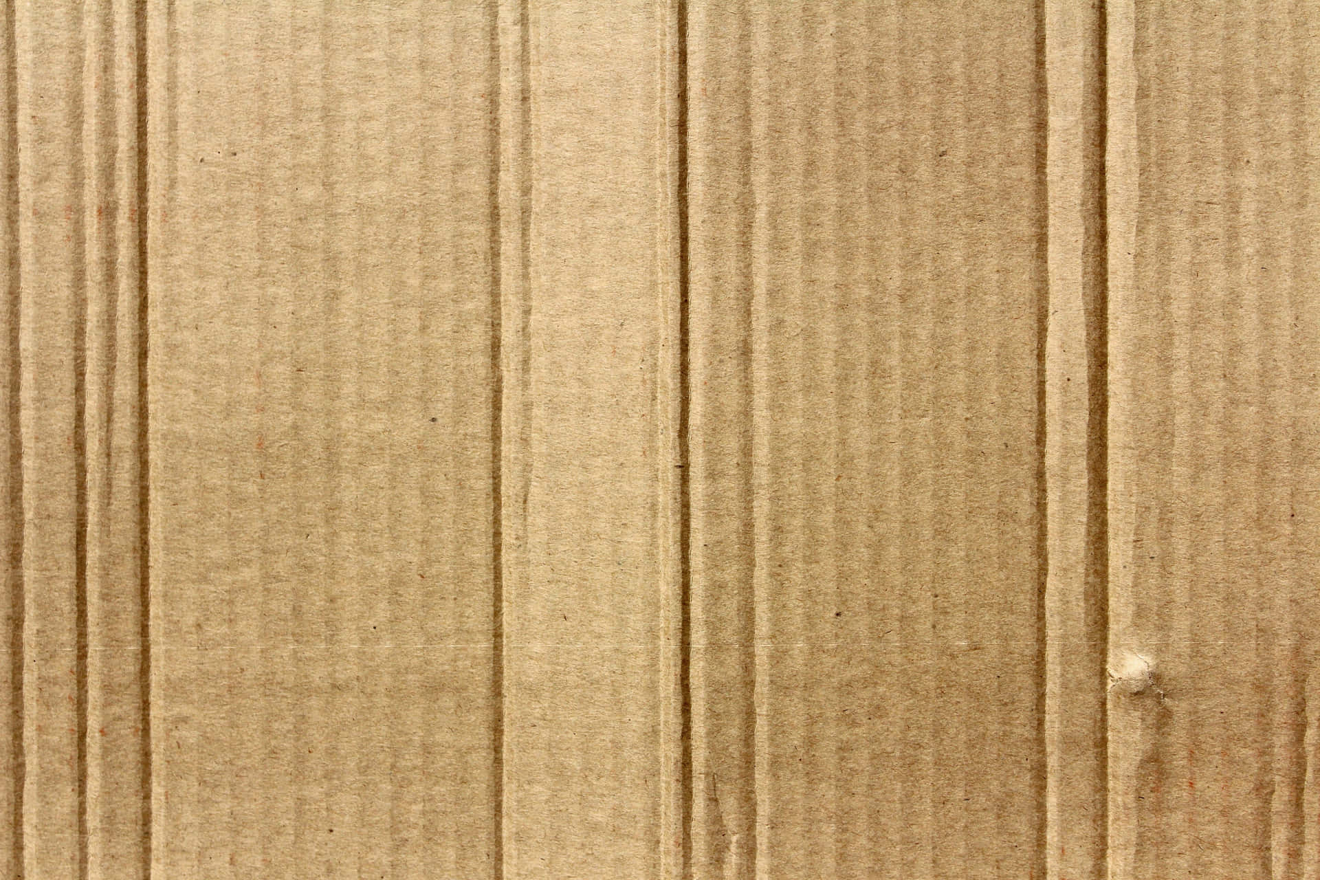 Cardboard background for creative projects