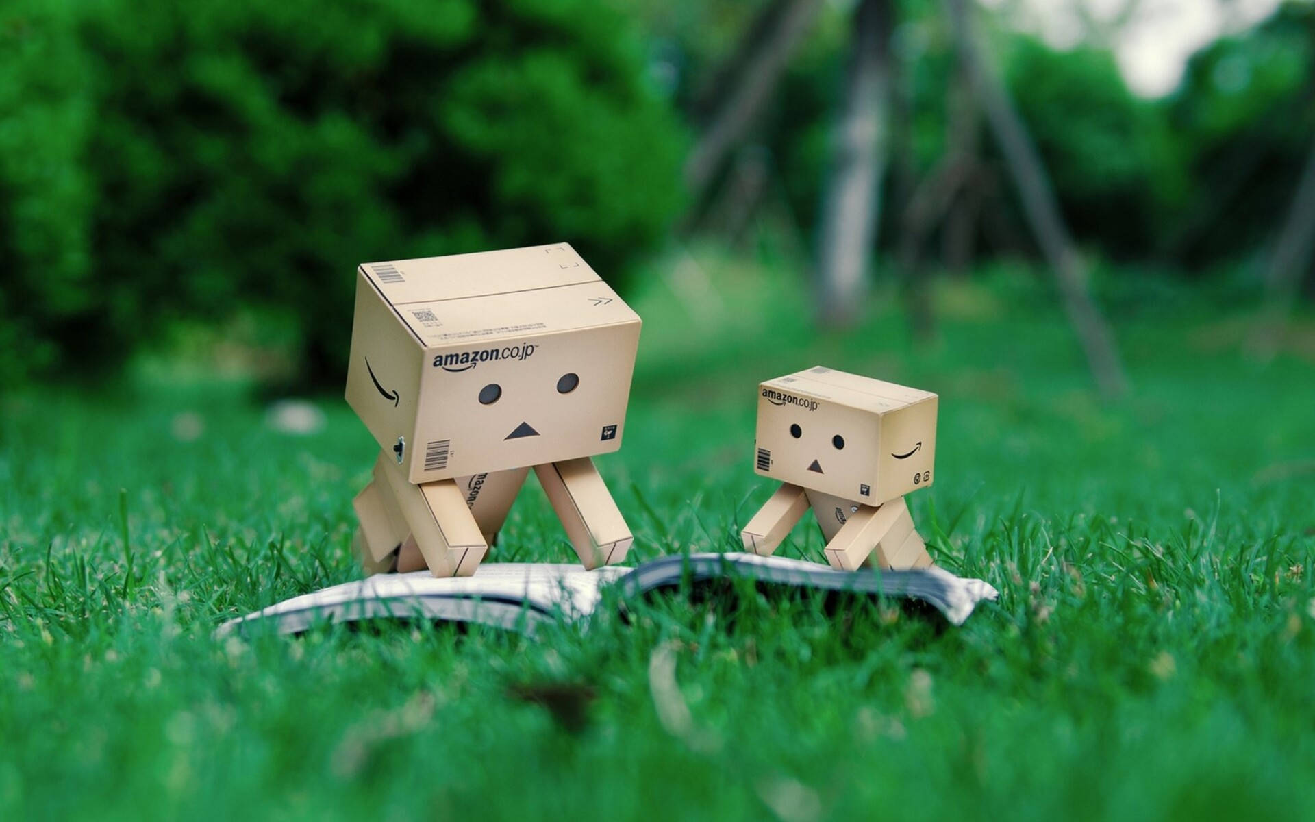 Cardboard Box Robots Reading Book Wallpaper