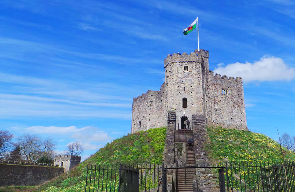Strutturadel Castello Di Cardiff Sfondo
