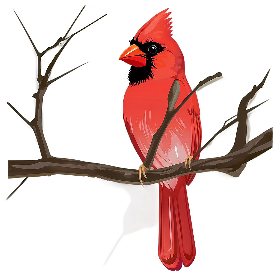 Cardinal Bird Vector Png 06252024 PNG