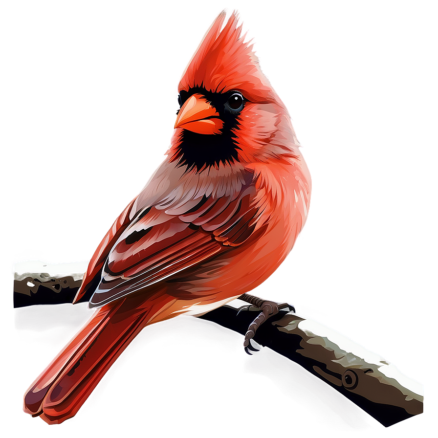 Cardinal Bird Vector Png Igp PNG
