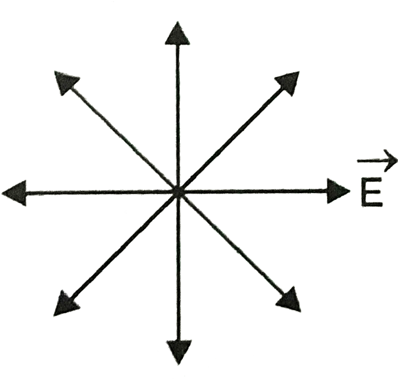 Cardinal Directions Vector Arrows PNG