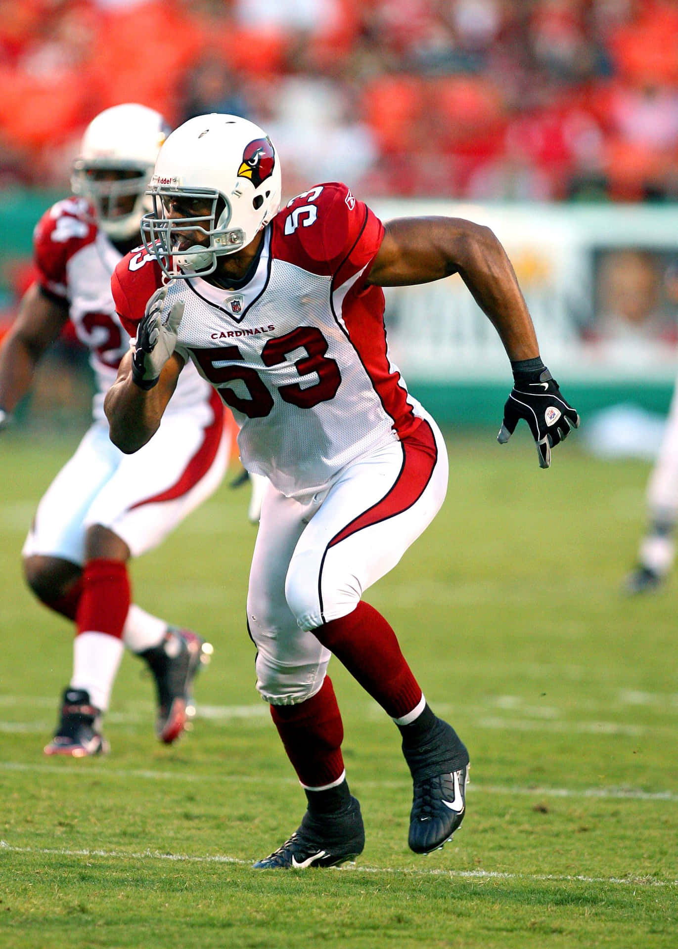 Cardinals Linebacker In Actie Achtergrond