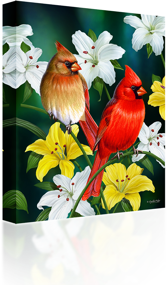 Cardinalsand Lilies Artwork PNG