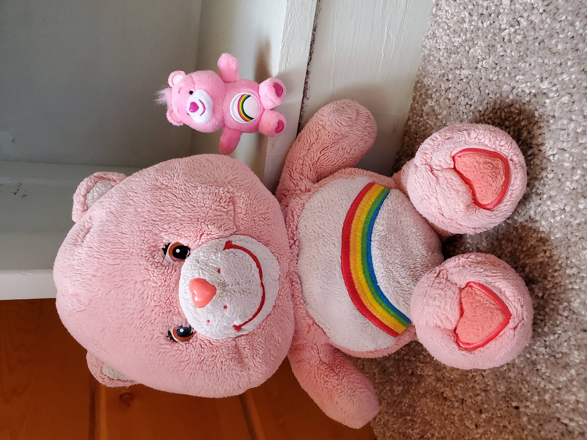 Care Bears Pink Teddy Bears