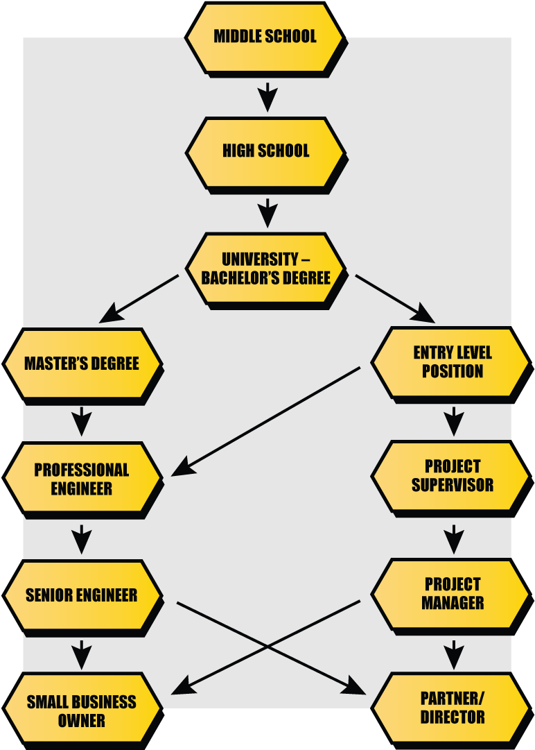 Career Progression Flowchart PNG