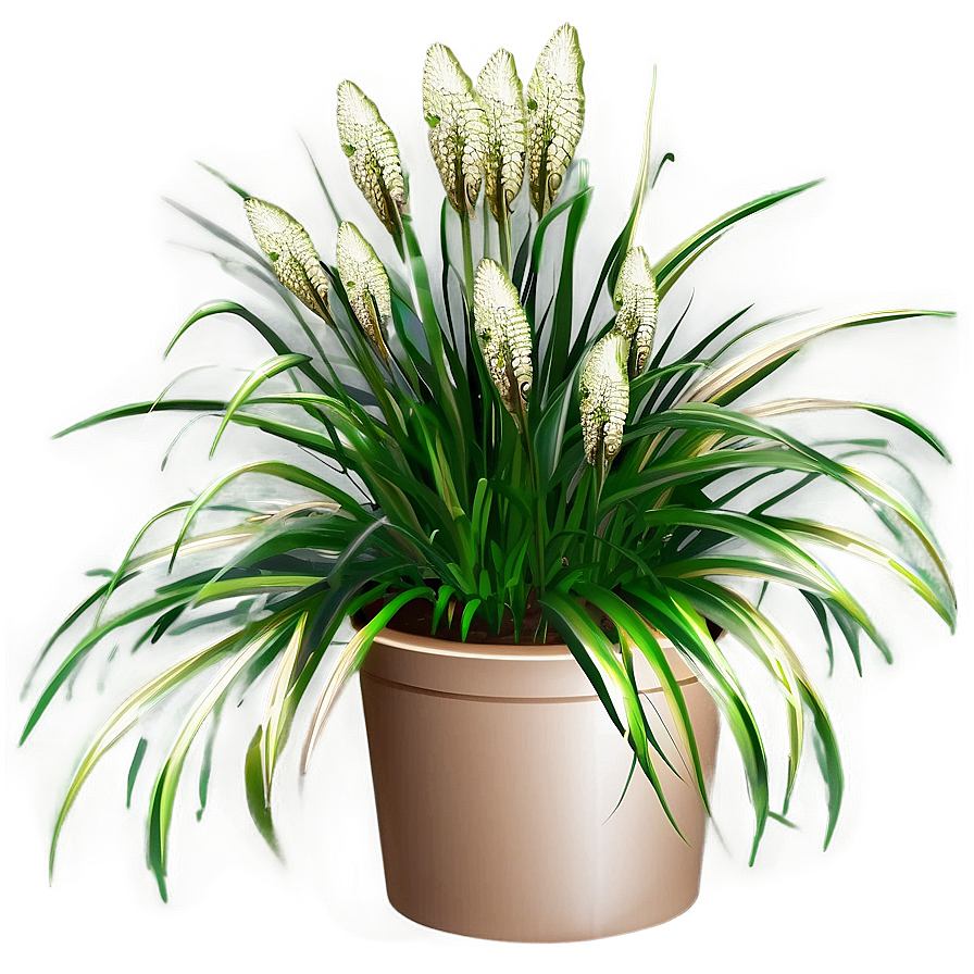 Carex Grass Decoration Png Yef95 PNG