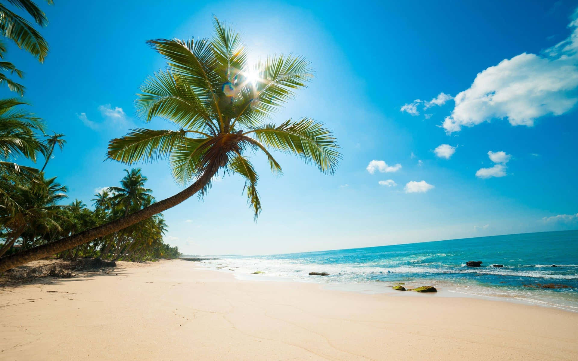 Get away from it all and soak up the sun on a pristine Caribbean Beach Wallpaper