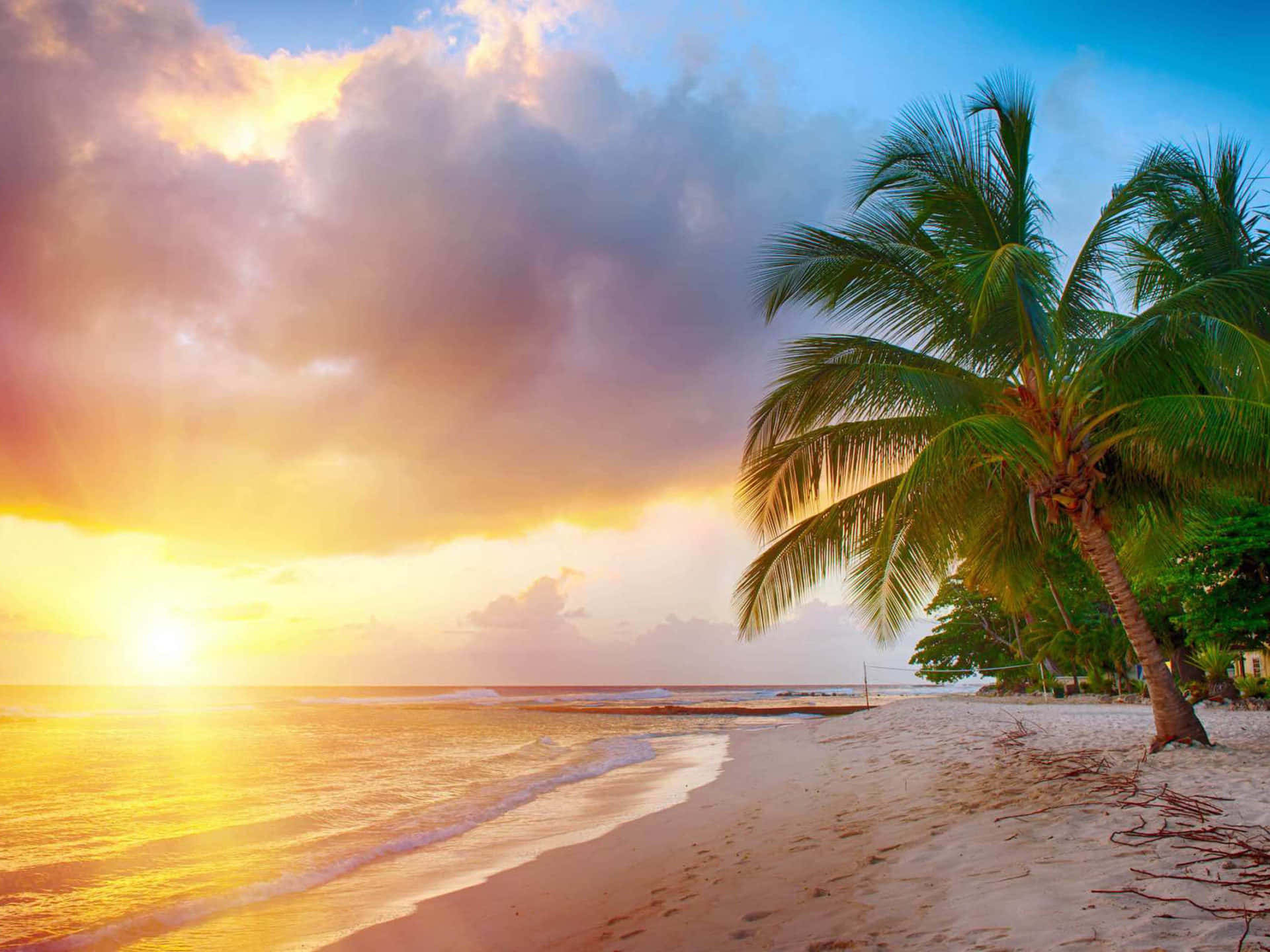 Njutav En Dag Av Paradiset Med Utsikt Över En Karibisk Strand På Din Dator- Eller Mobilbakgrund. Wallpaper
