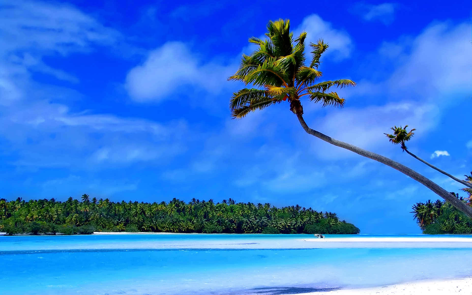 Renuevatu Energía Entre Las Tranquilas Vistas De Una Playa Caribeña. Fondo de pantalla