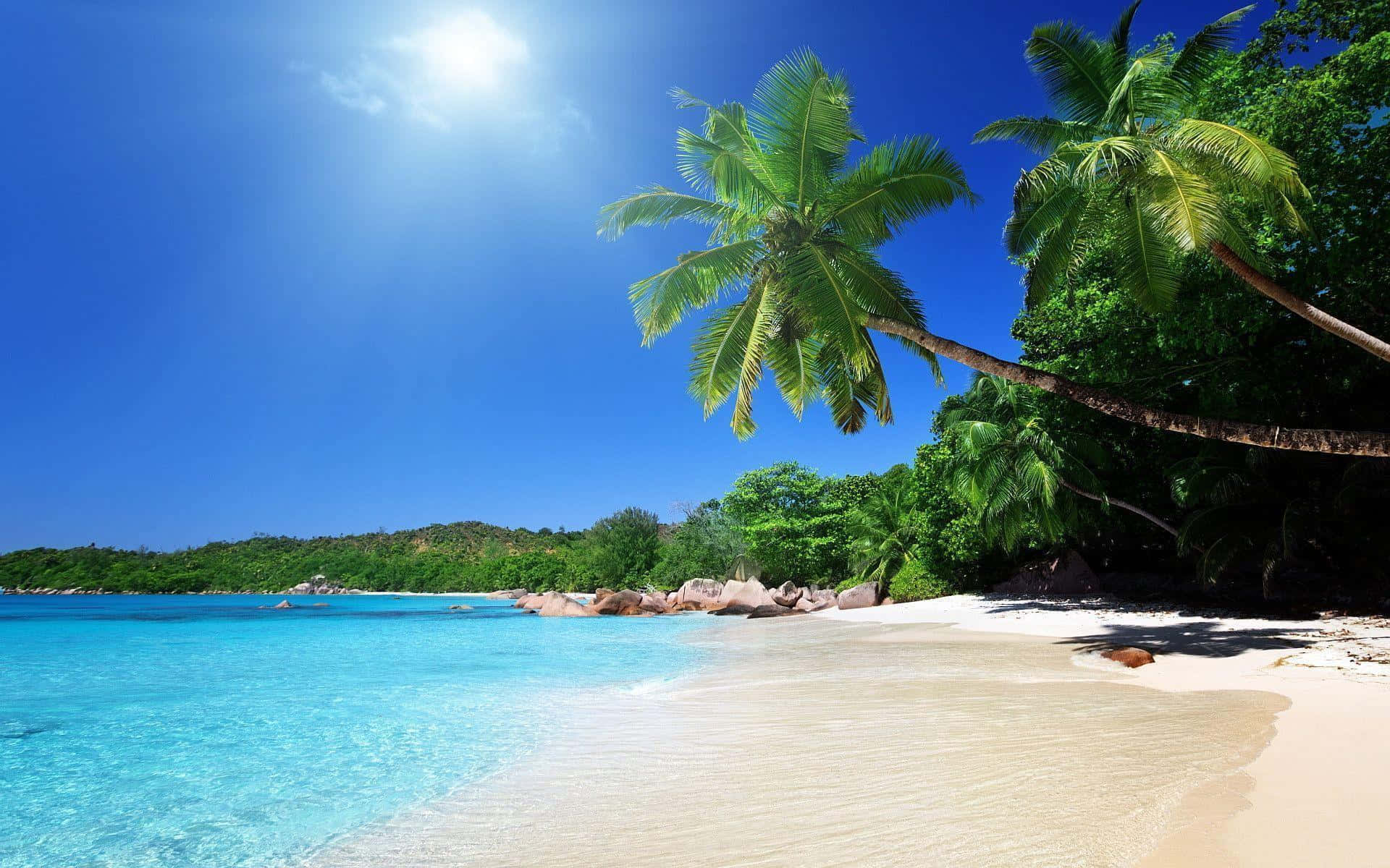 Disfrutade La Hermosa Playa En El Caribe. Fondo de pantalla