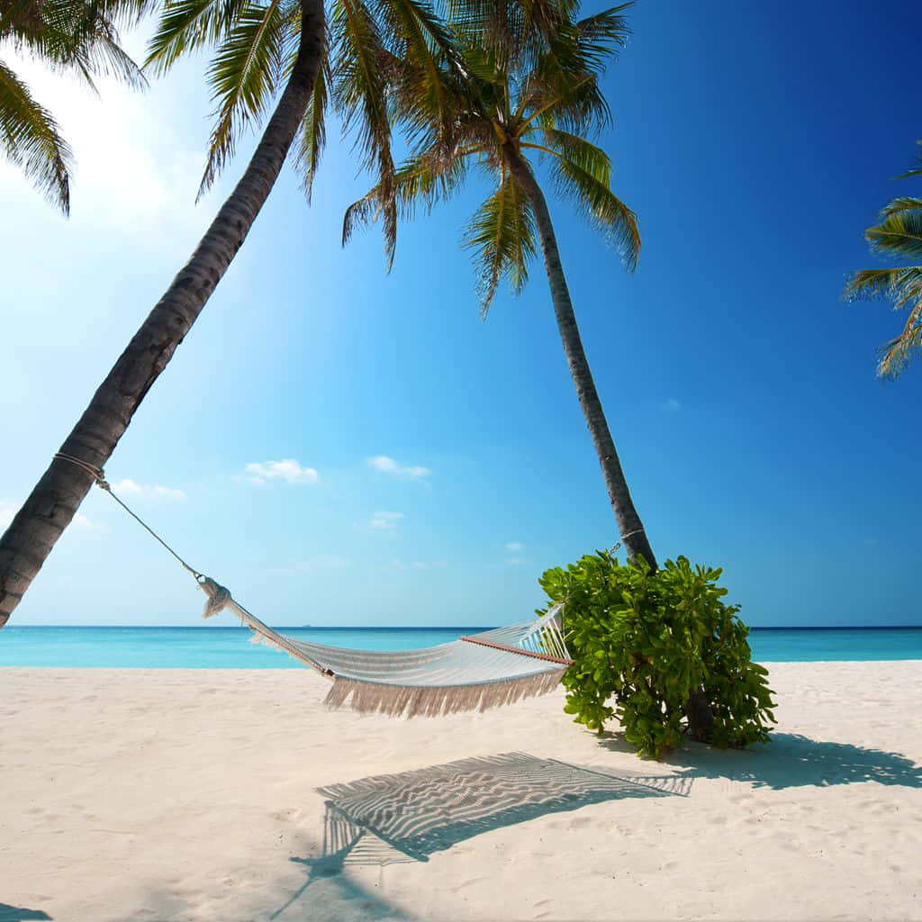 Tómateun Descanso Y Relájate En Esta Hermosa Playa Del Caribe. Fondo de pantalla