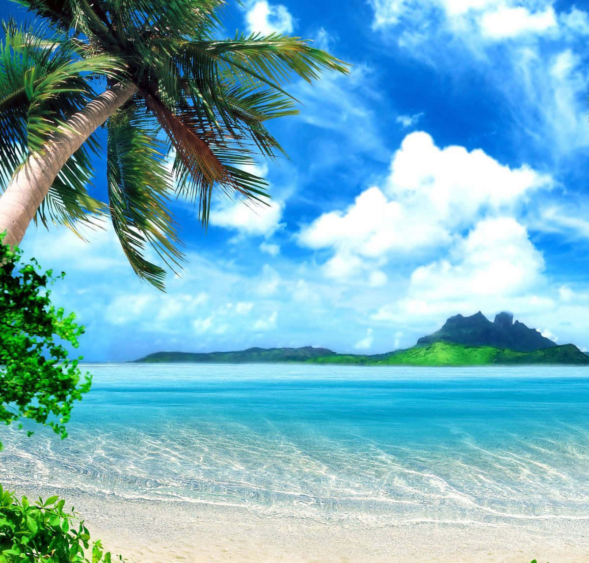 En strand med palmer og en blå himmel Wallpaper