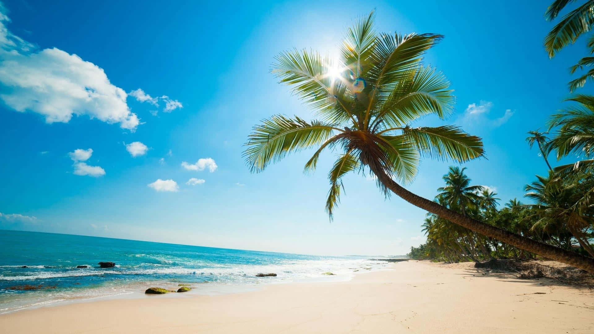 Relájatey Disfruta En Una Playa Del Caribe. Fondo de pantalla