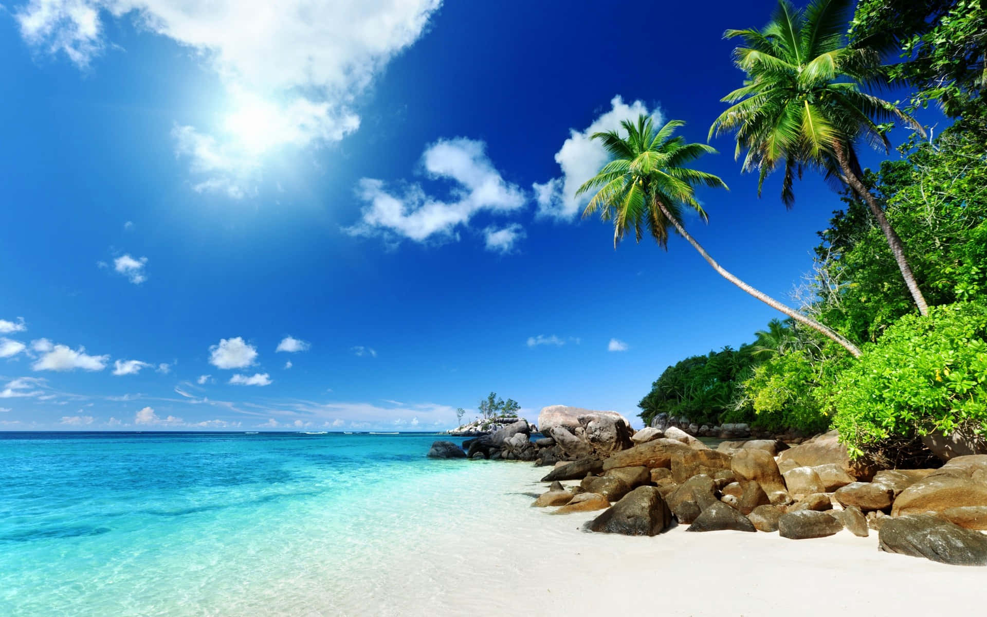 Feel the tropical paradise of a Caribbean Beach Wallpaper