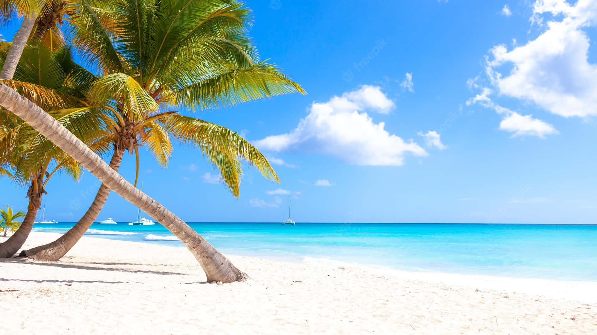 Disfrutael Paraíso En Una Playa Del Caribe. Fondo de pantalla