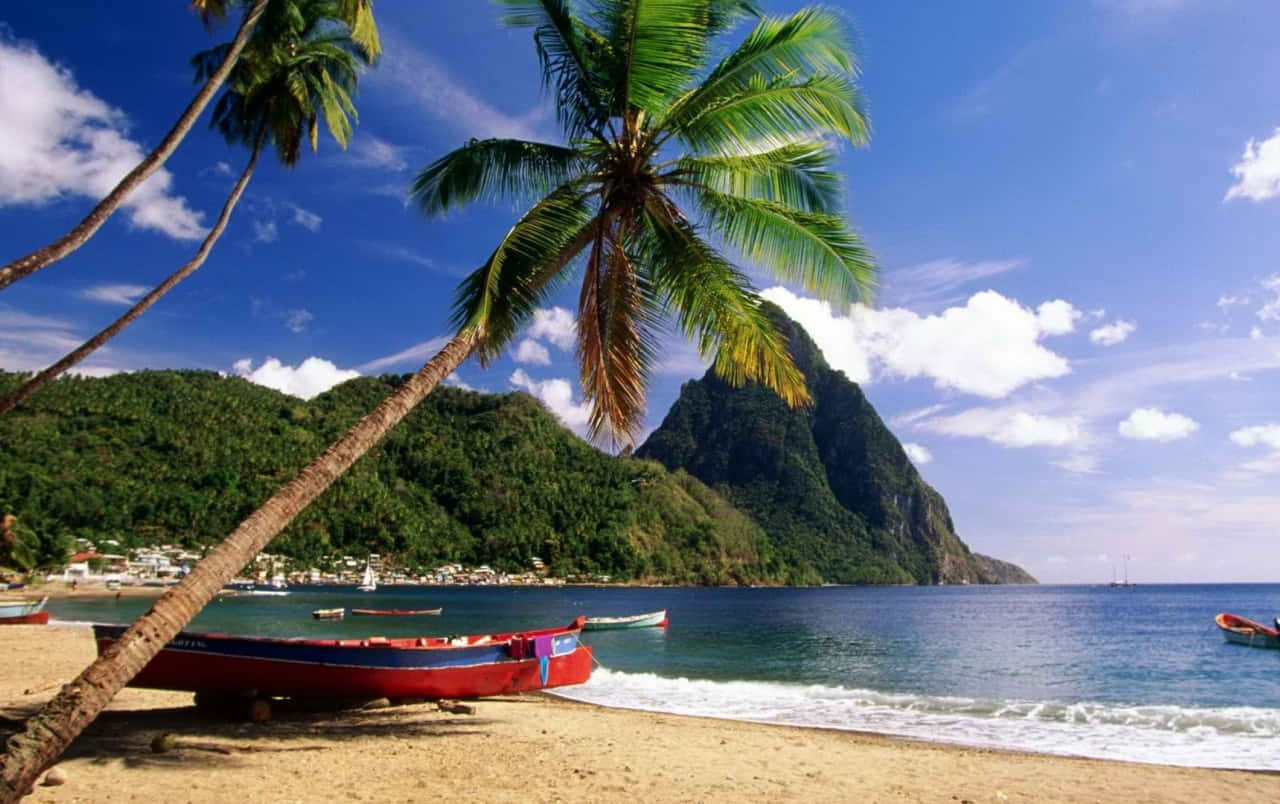 Relajándoteen Las Aguas Azules De Una Playa Caribeña. Fondo de pantalla
