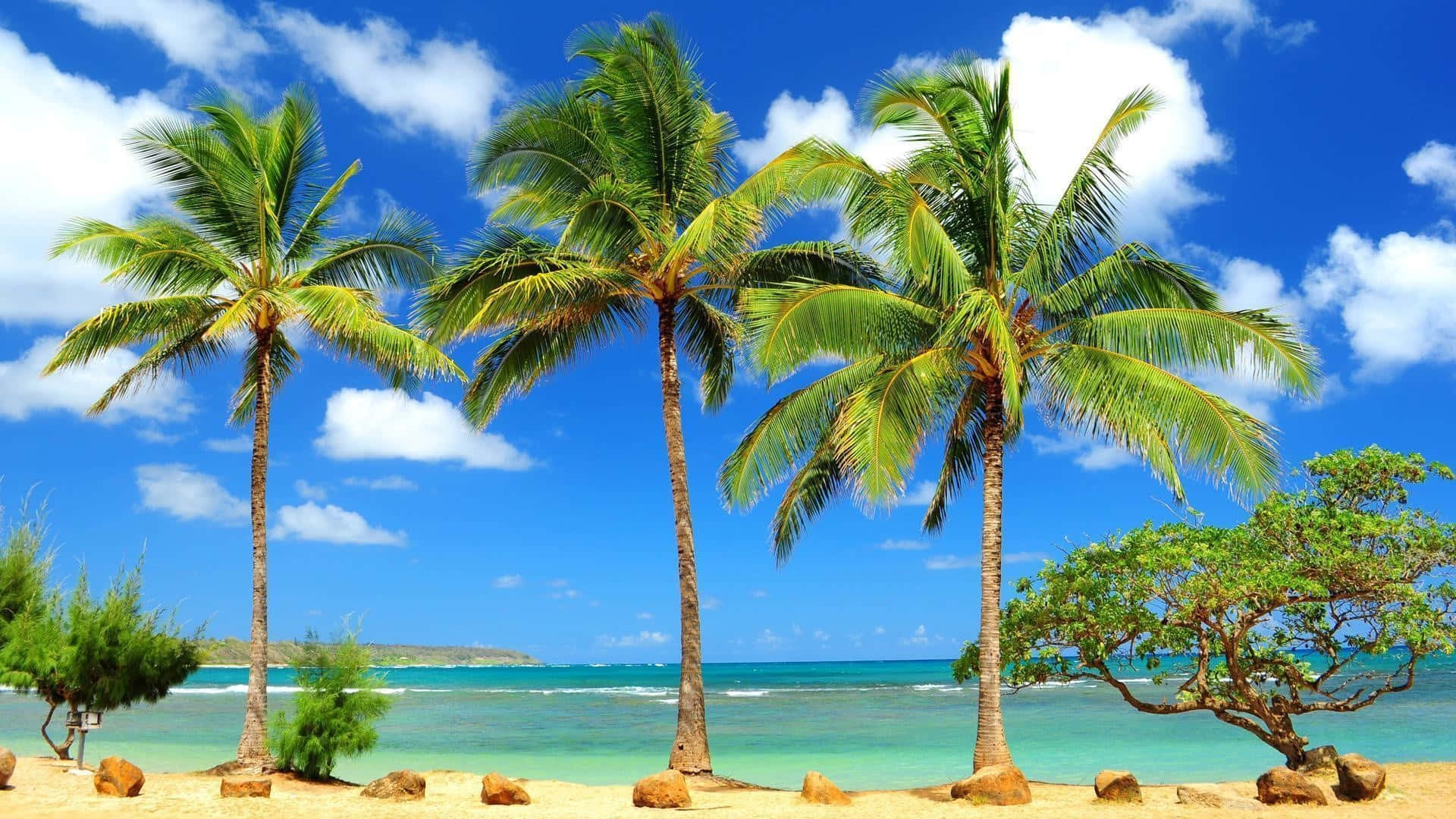 Einwunderschöner Karibischer Strand Mit Luftigem Weißen Sand Und Kristallklarem Türkisfarbenem Wasser. Wallpaper