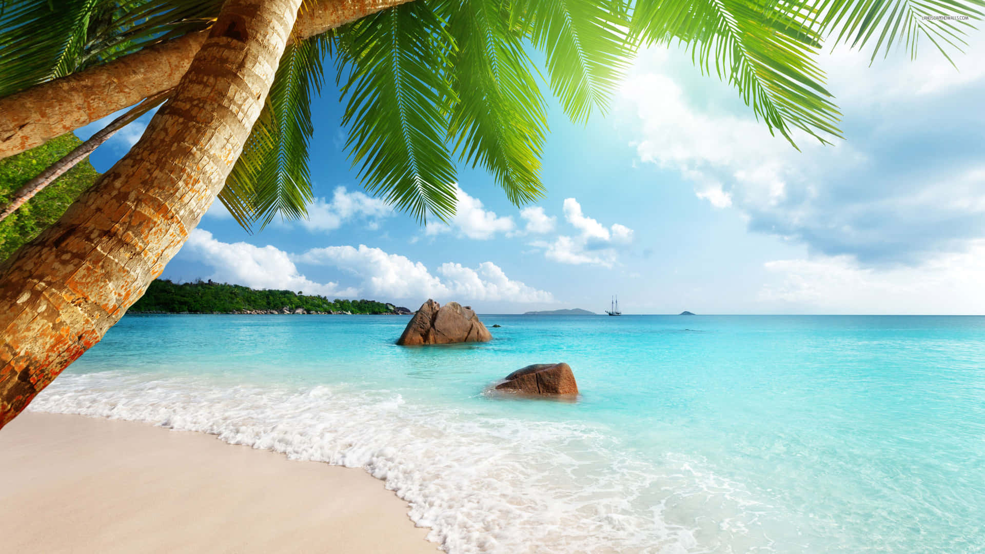 En strand med palmer og et blåt hav i baggrunden Wallpaper
