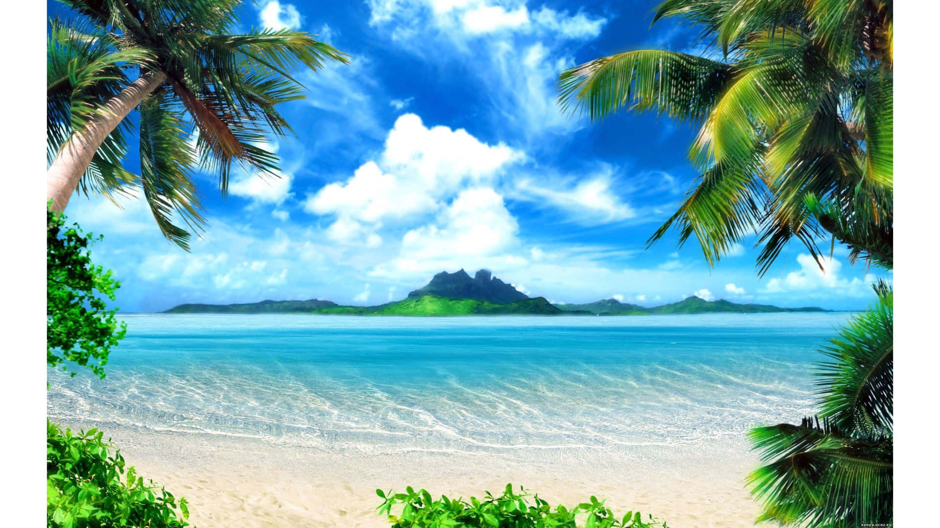 A Tropical Beach With Palm Trees And Blue Water Wallpaper