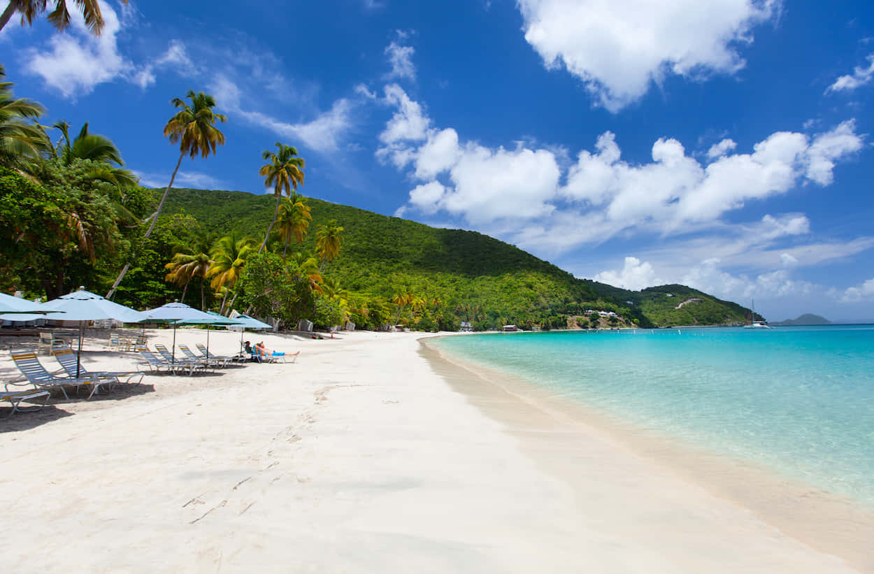 Adembenemend Caribisch Eiland Strand Achtergrond