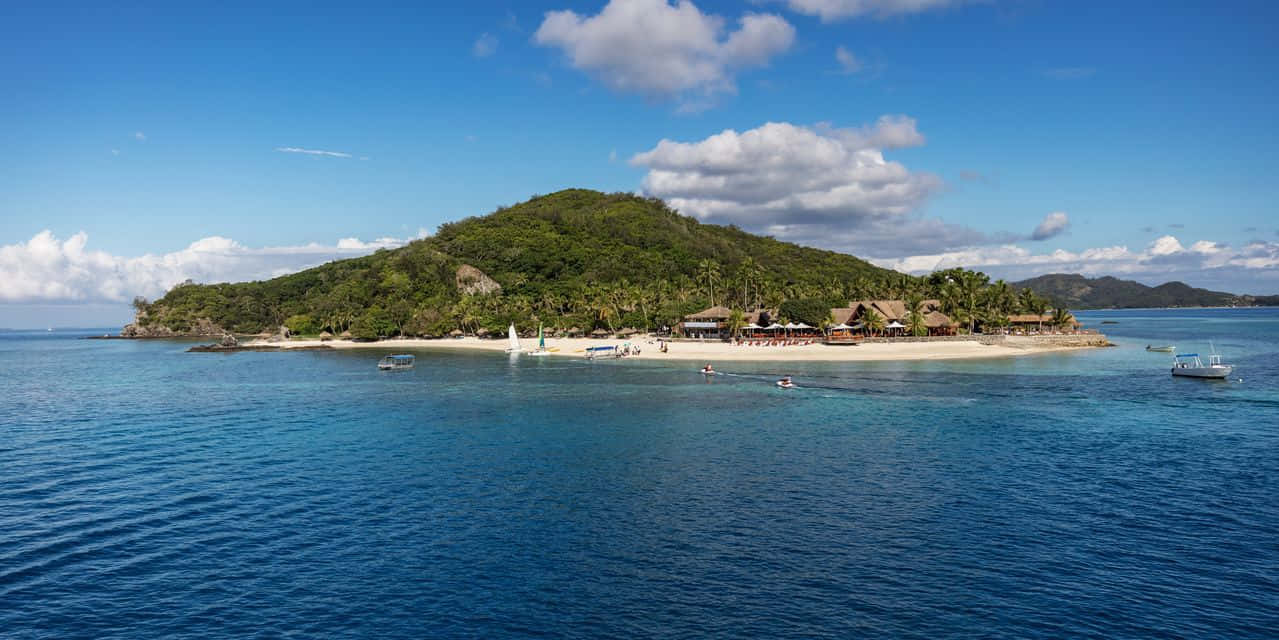 Tropisch Paradijs Op Een Caribisch Eiland Achtergrond