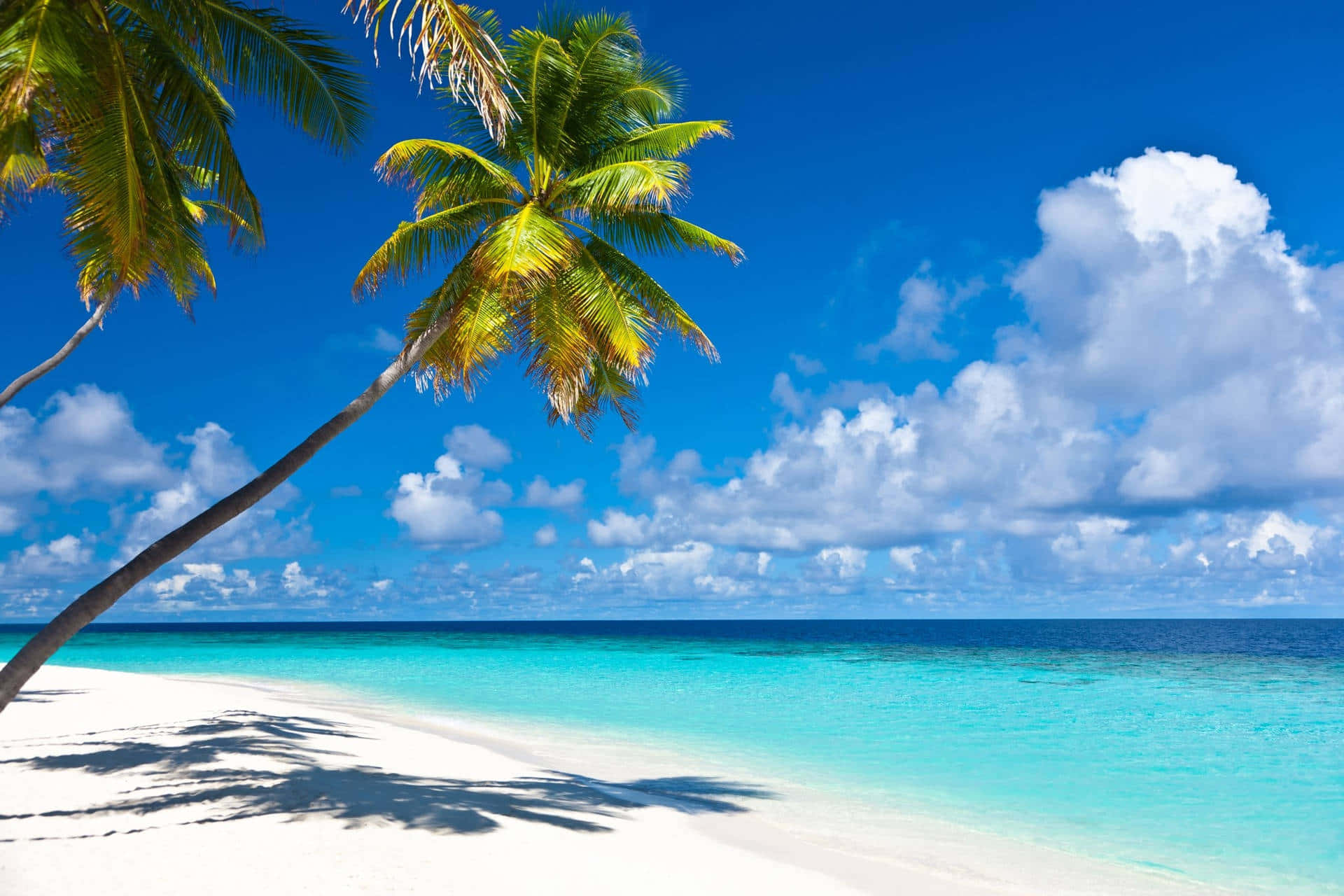 Caribbean Paradise Beach Wallpaper