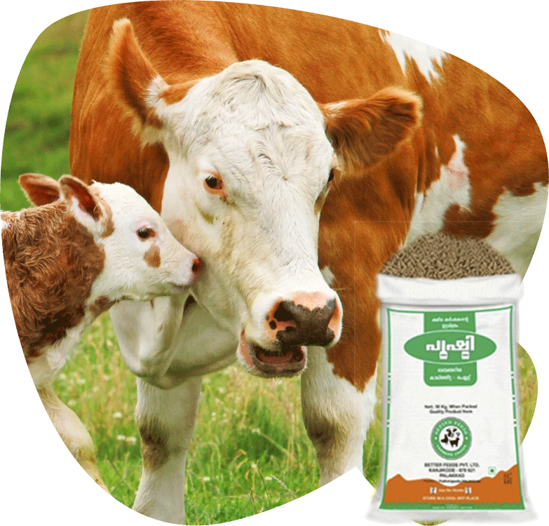 Caring Cowand Calfwith Feed Package PNG