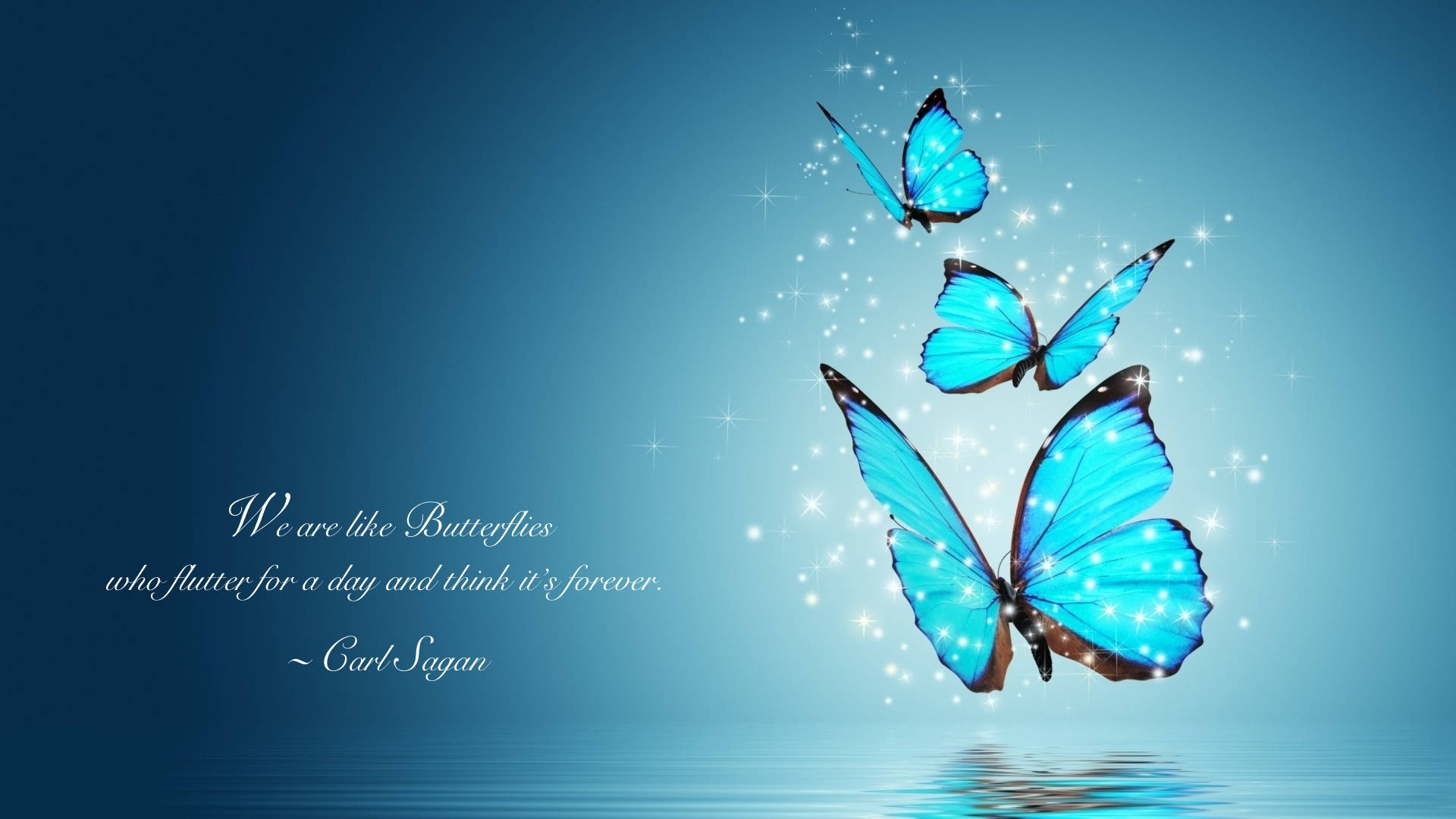 Carlsagans Citat Om Fjärilar. Wallpaper