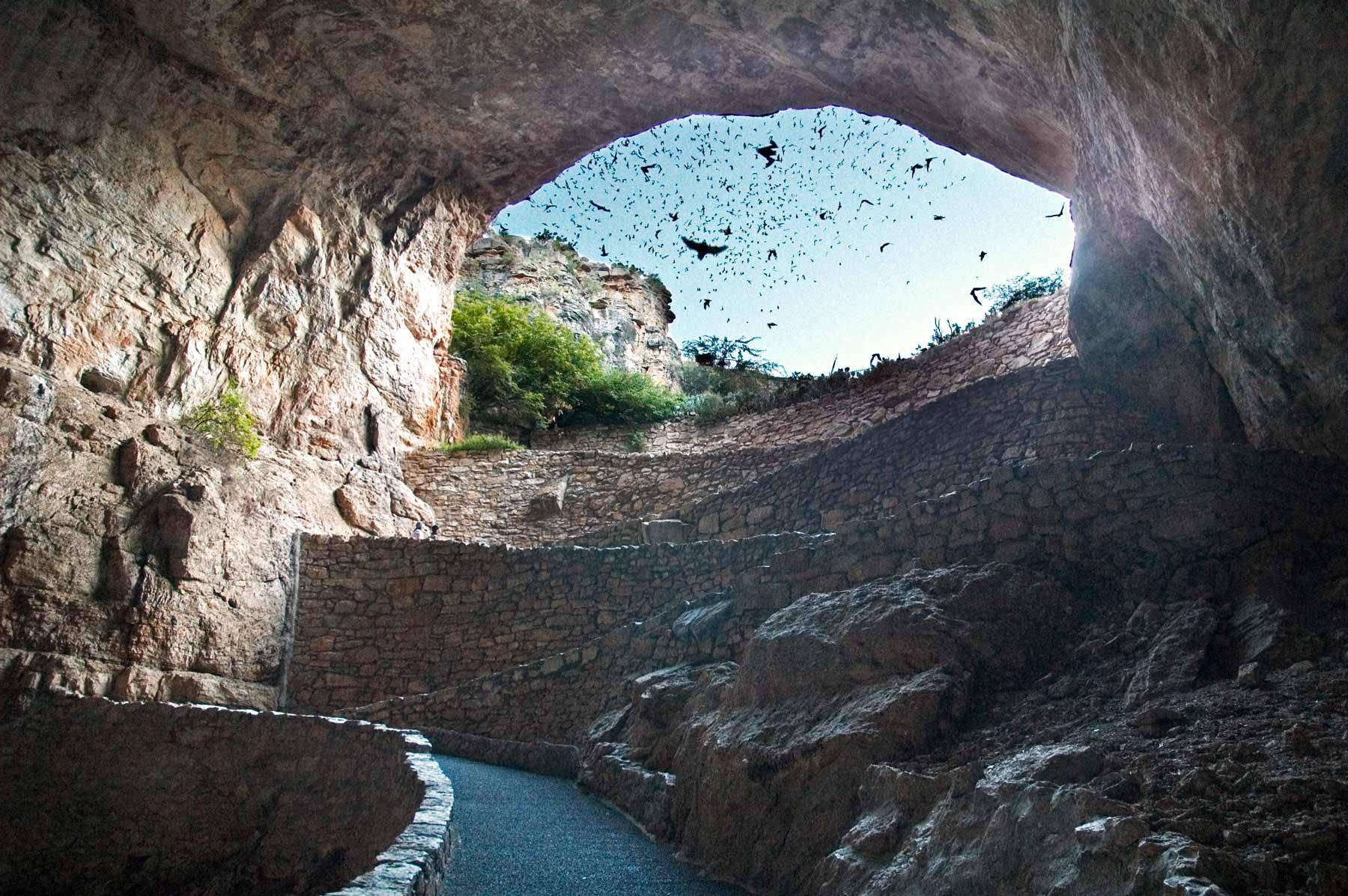 Carlsbad Cavern Entrance And Birds Wallpaper