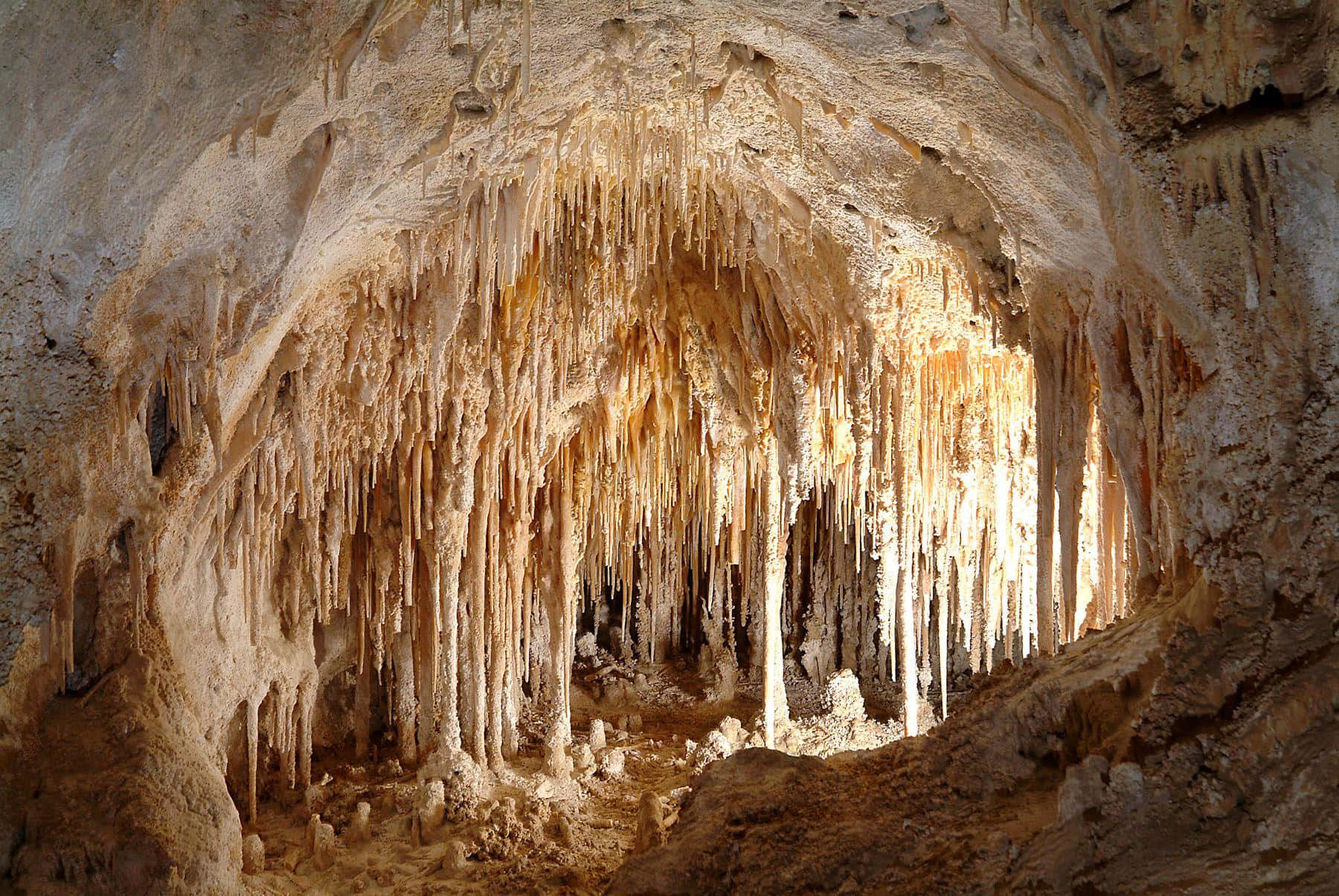 Depósitosminerales Del Parque Nacional Cavernas De Carlsbad. Fondo de pantalla